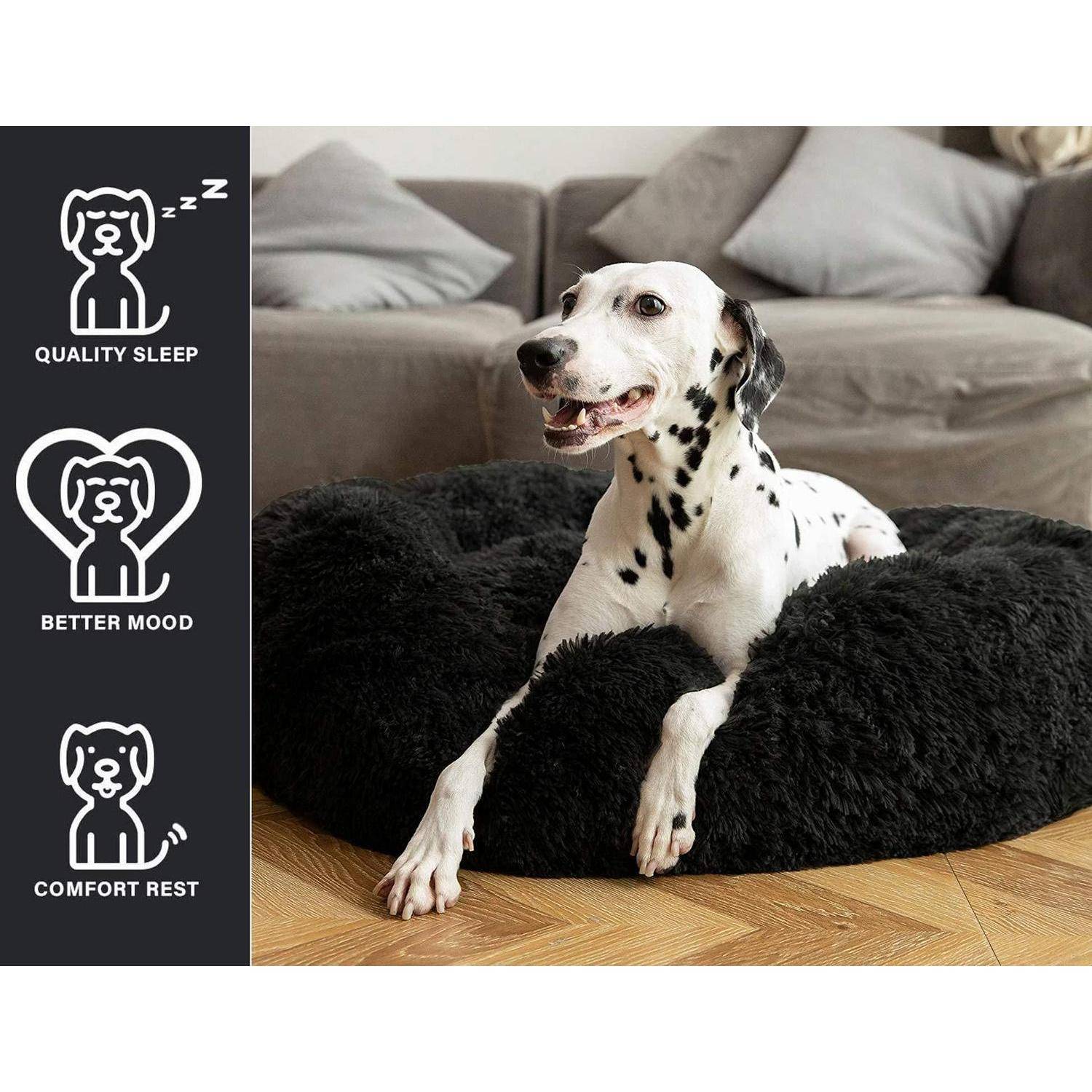 Dalmatiner ruht auf einem schwarzen Hundebett im Wohnzimmer; Seitensymbole kennzeichnen Vorteile: „QUALITÄTSSCHLAF", „BESSERE LAUNE"" und „KOMFORTRUHE"".