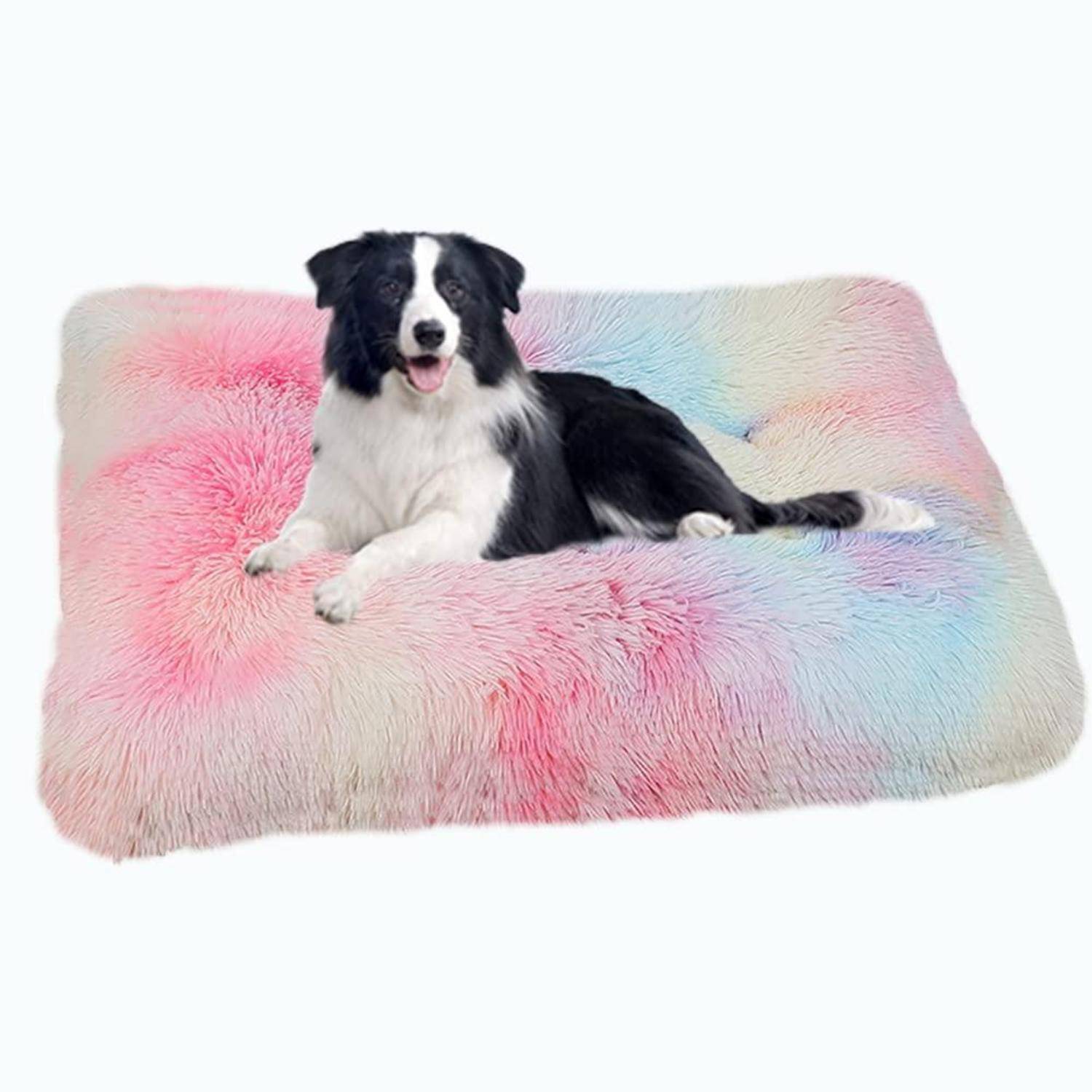Schwarz-weißer Hund, der auf einer pastellrosa, hellblauen und weißen flauschigen Matte vor weißem Hintergrund liegt.
