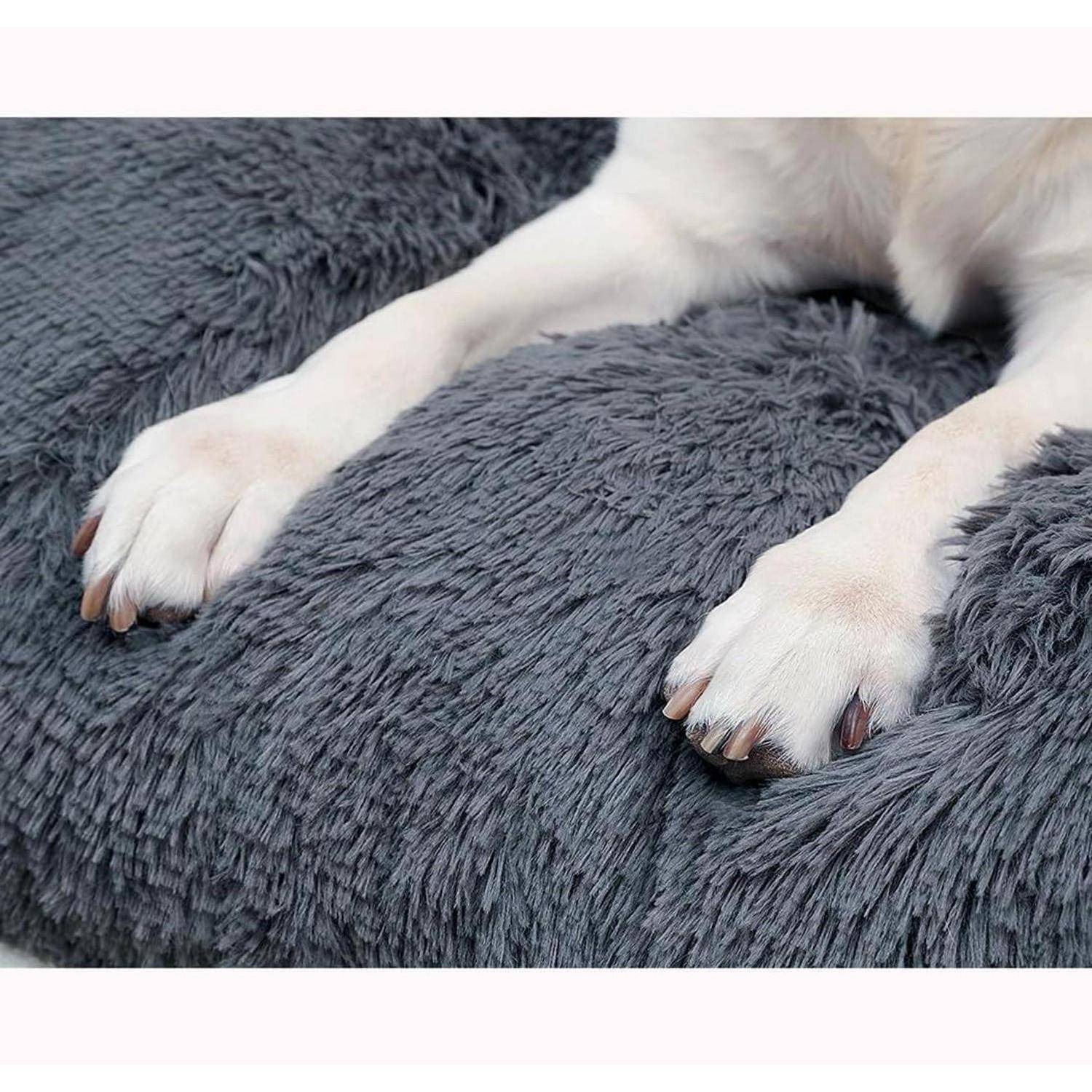 Nahaufnahme der Vorderpfoten eines weißen Hundes, die auf einer weichen, grauflaumigen Decke ruhen.