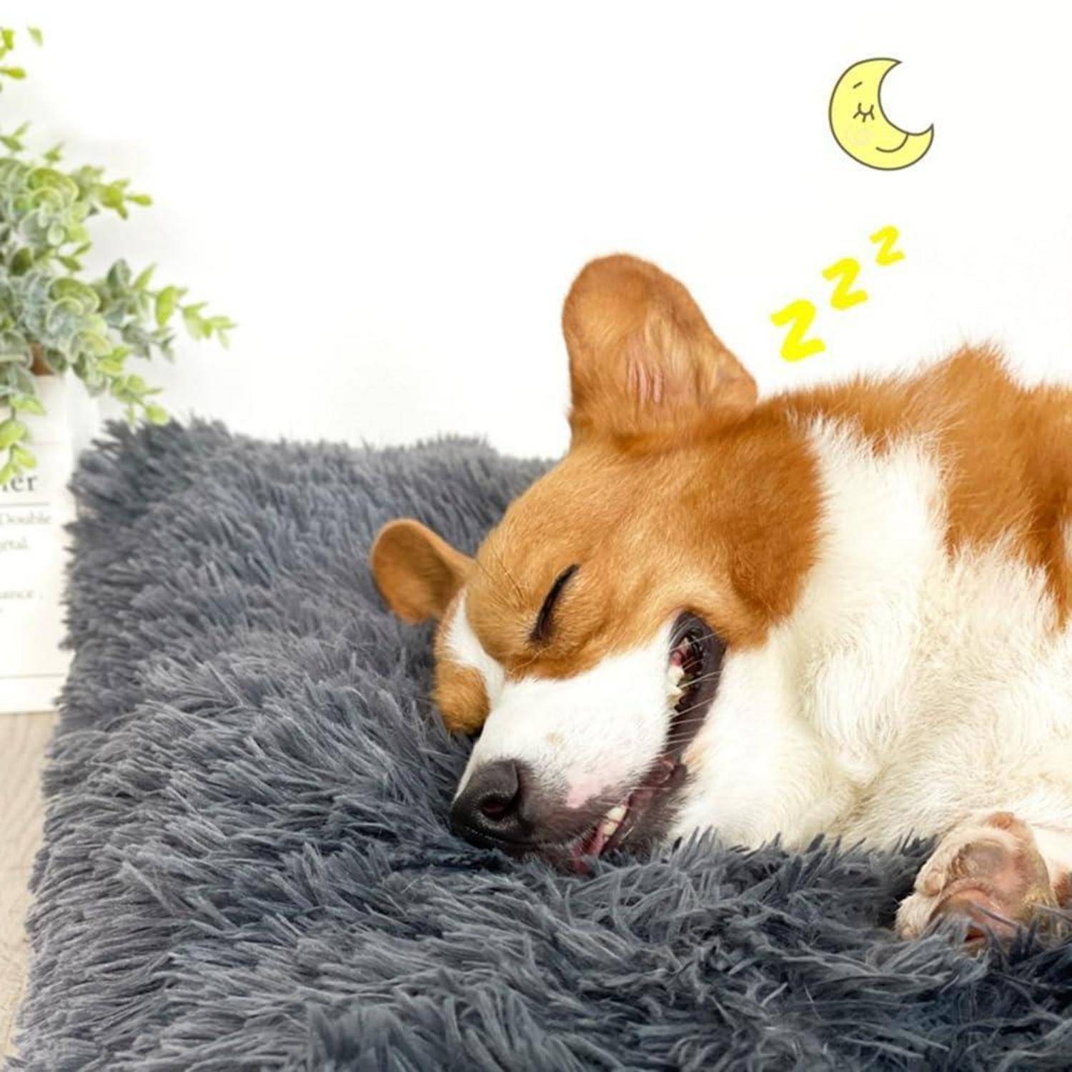 Ein schlafender Corgi auf einem flauschigen grauen Bett mit "zzz"" und einem Mondsymbol darüber, das friedliche Ruhe andeutet.