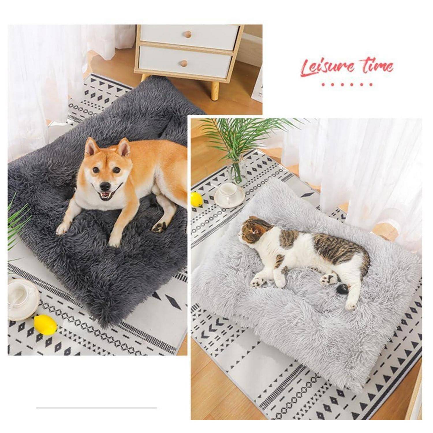 Collage eines Shiba Inu und einer Katze, die auf kuscheligen grauen Haustierbetten in einem hellen Raum ruhen, mit dem Text „Freizeit".