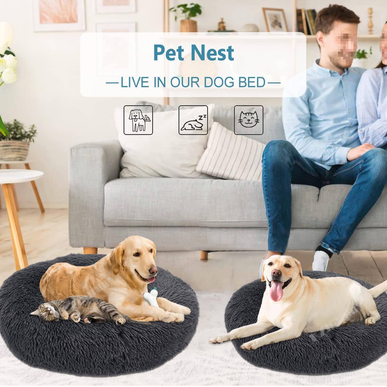 Anzeige für „Pet Nest" Hundebetten, die zwei Hunde zeigt, die auf plüschigen runden Haustierbetten in einem Wohnzimmer mit einem sitzenden Mann auf einem Sofa ruhen.