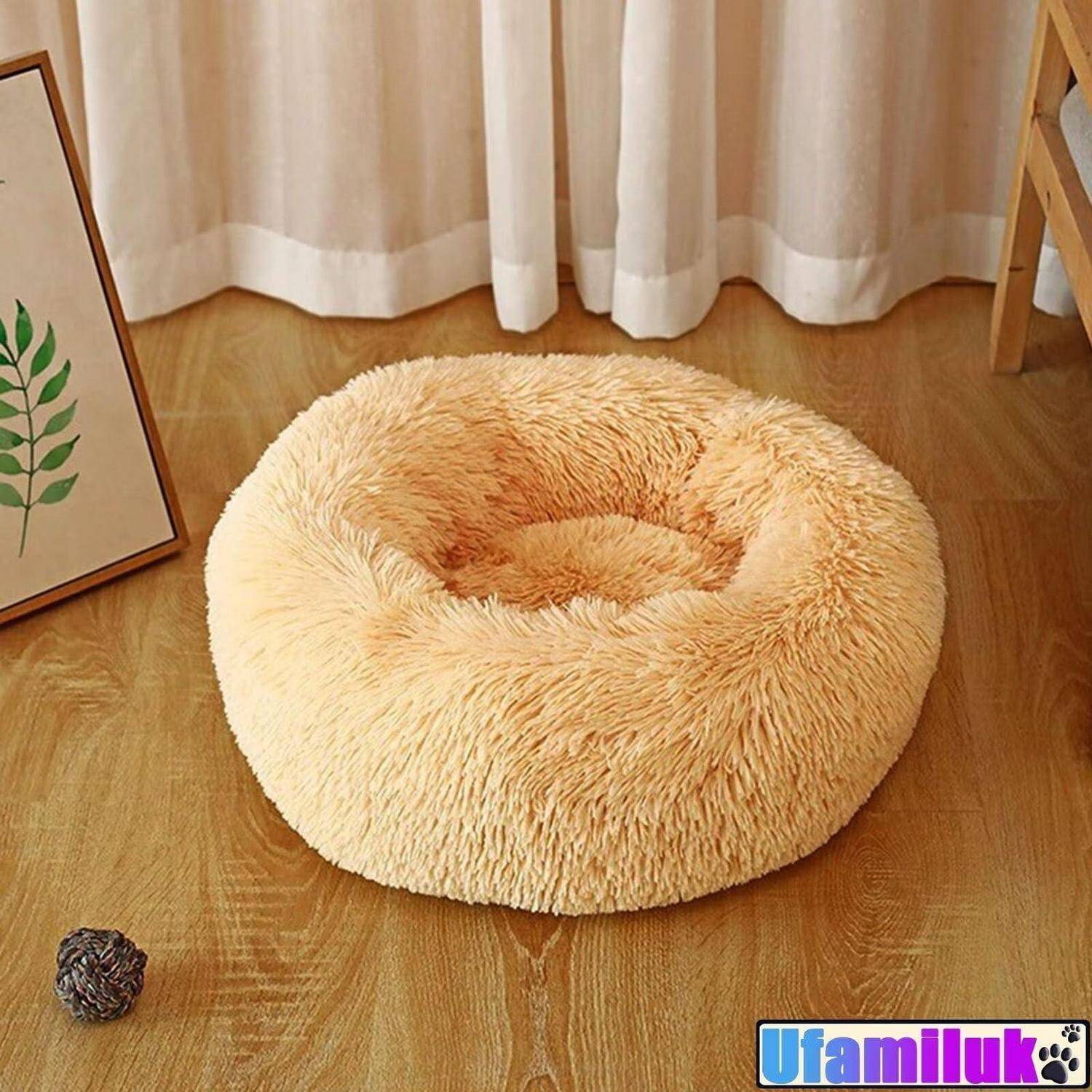 Rundes beige flauschiges Haustierbett auf einem Holzboden neben einem gerahmten Druck und Vorhängen.