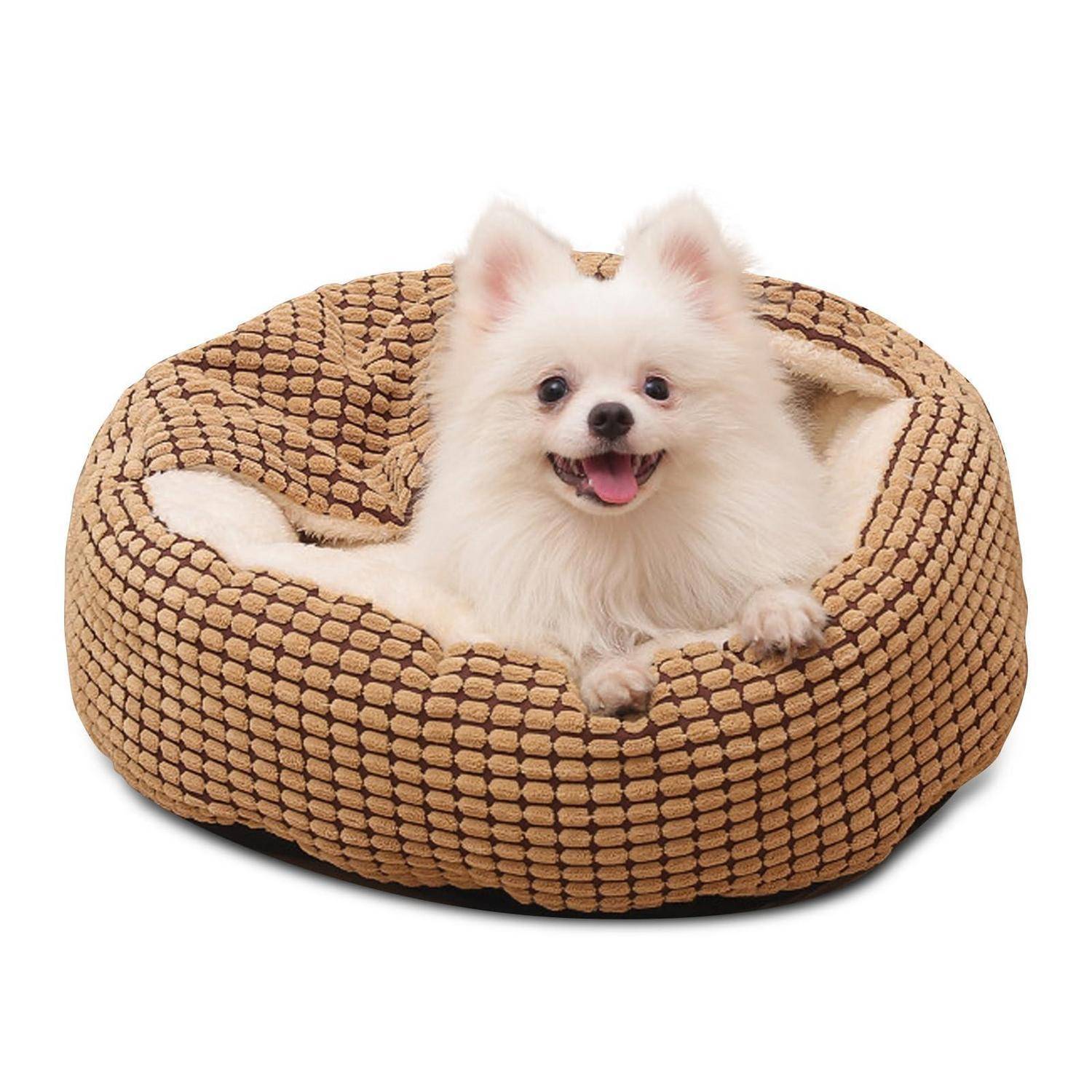 Kleiner weißer fluffiger Hund sitzt in einem beigen geflochtenen Haustierbett und schaut mit herausgestreckter Zunge in die Kamera.