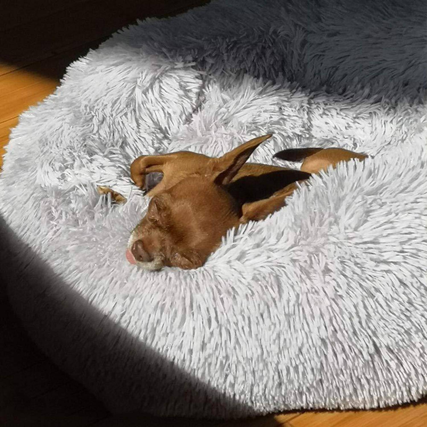 Kleiner brauner Hund, der zusammengerollt in einem flauschigen grauen Hundebett in der Sonne schläft.