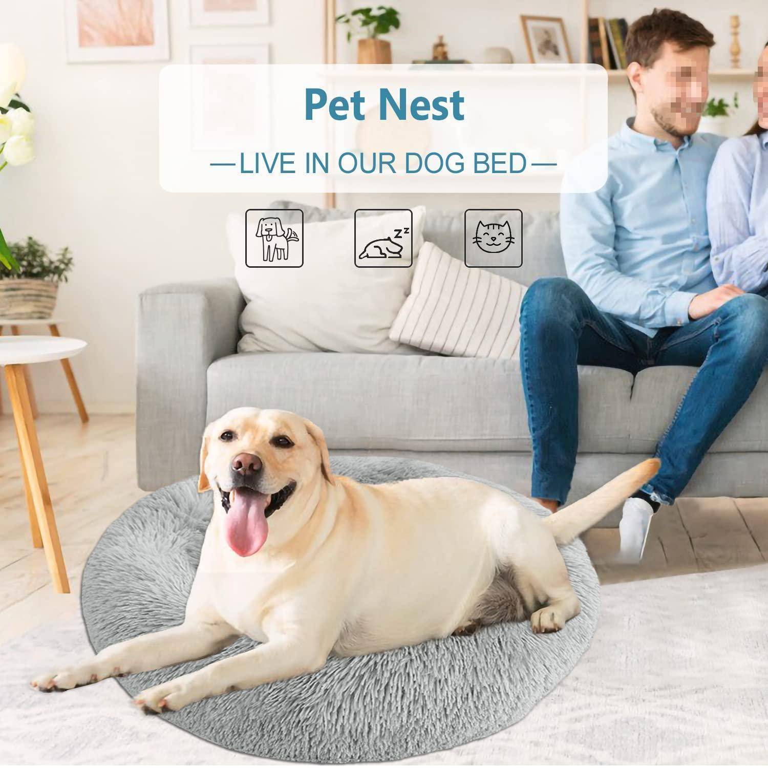 Anzeige für das Hundebett „Pet Nest", auf der ein gelber Labrador auf einem grauen runden Bett in einem Wohnzimmer fläzt, während ein Mann im Hintergrund auf einem Sofa sitzt.