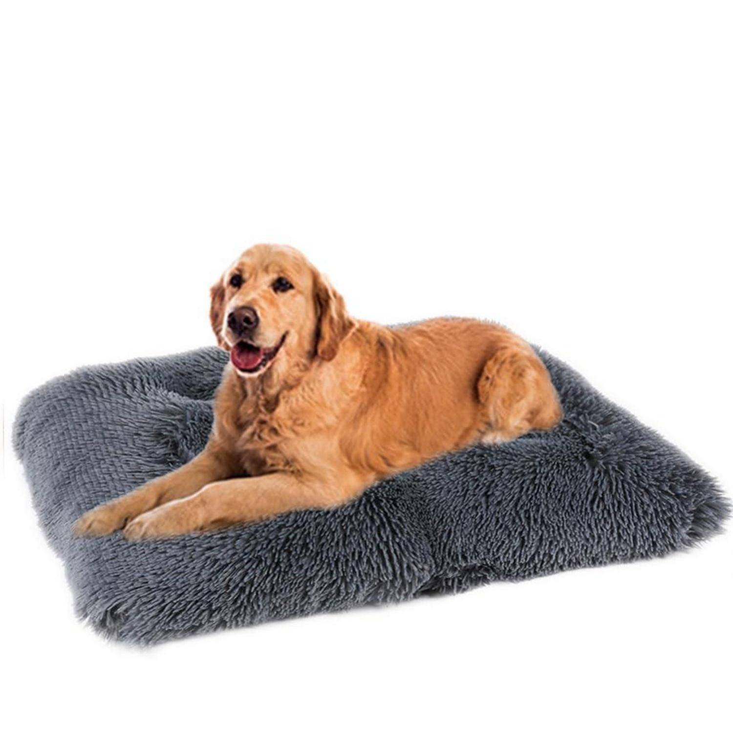 Golden Retriever liegt auf einem grauen flauschigen Haustierbett, frontal vor weißem Hintergrund.