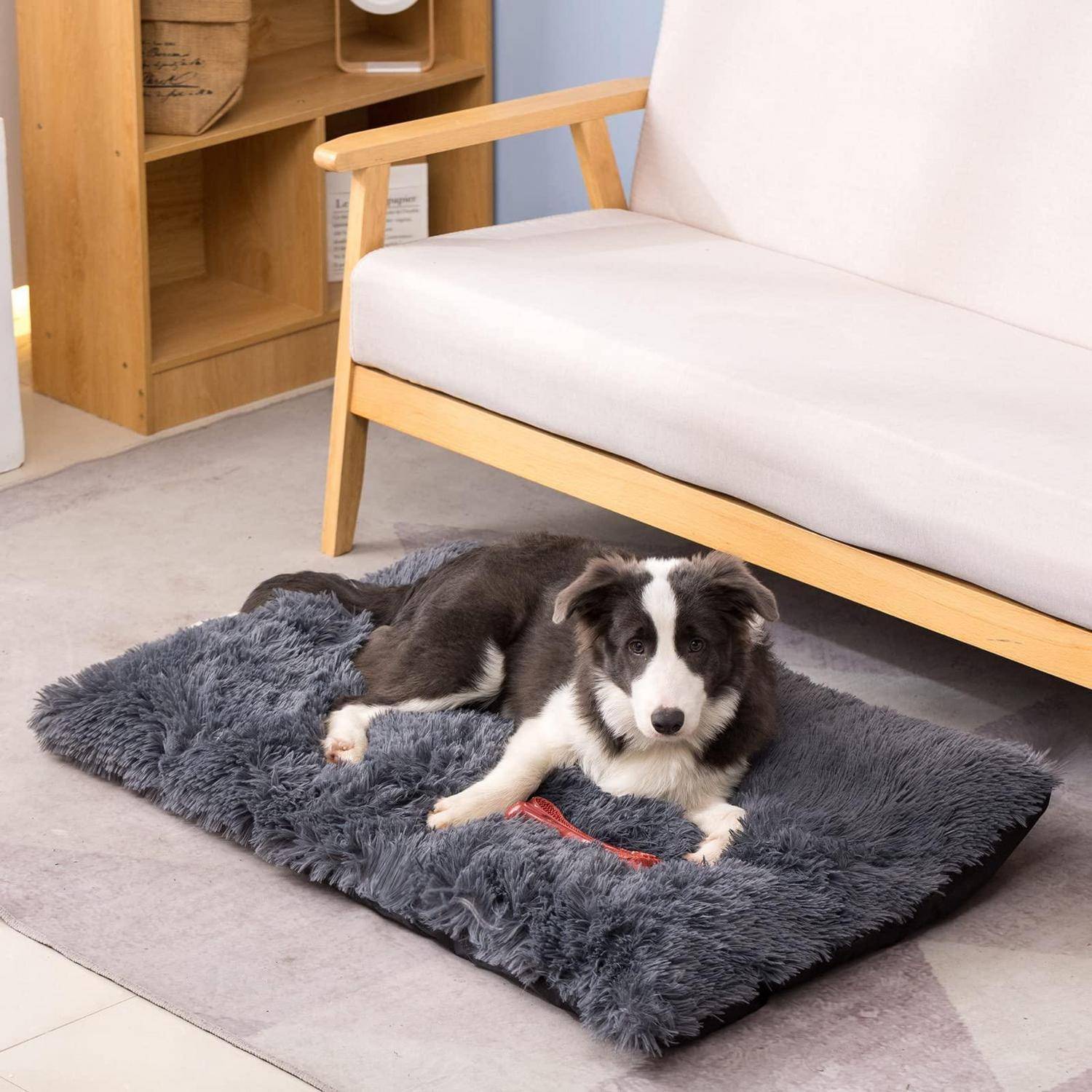Ein Border Collie liegt auf einer dunklen, flauschigen Matte in einem Wohnzimmer neben einem hellfarbigen Sofa.