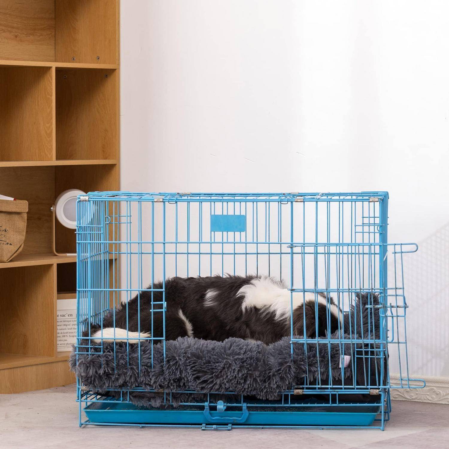 Schwarz-weißer Hund, der zusammengerollt in einer blauen Drahtbox mit einem grauen Kissen im Innenbereich schläft.