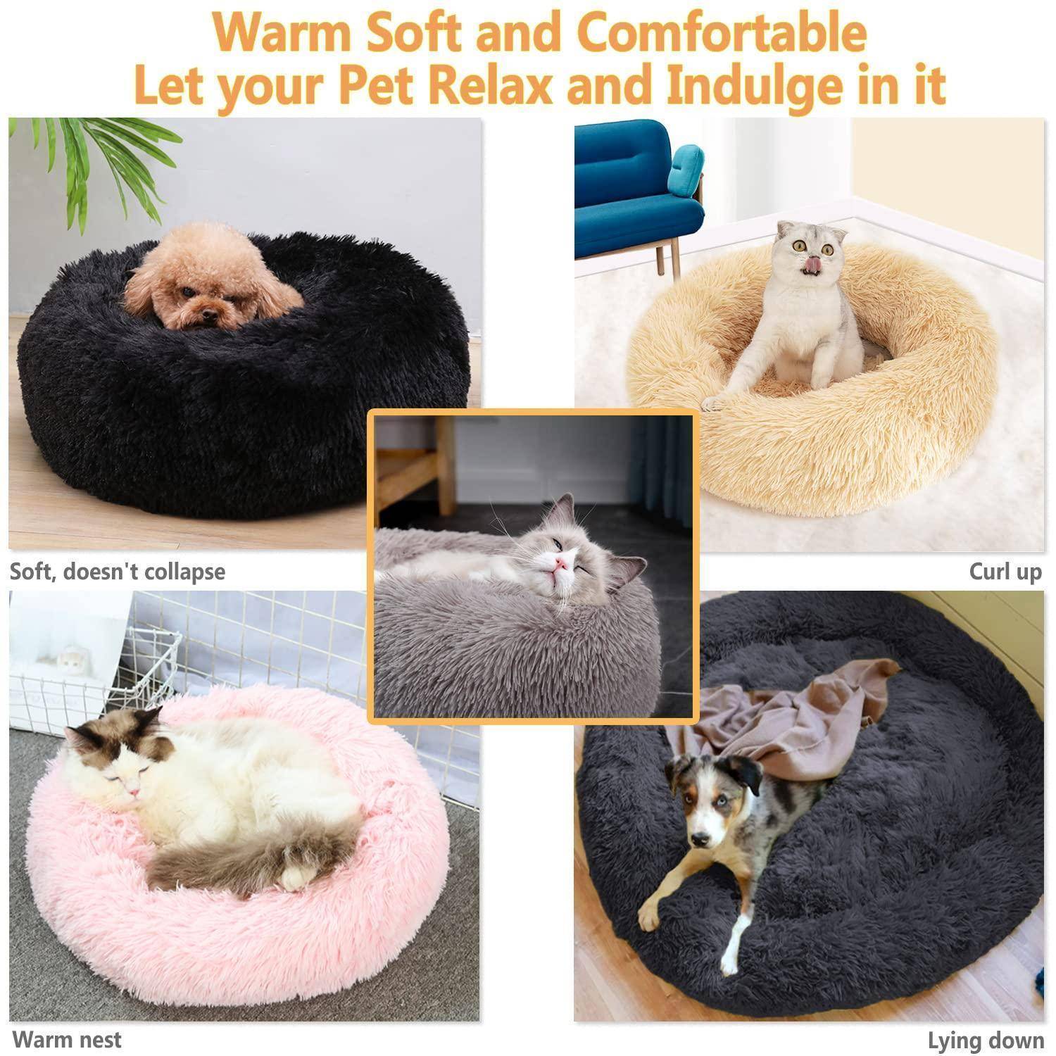 Collage von Haustieren, die sich in flauschigen runden Betten entspannen, mit Text „Warm, weich und bequem" und „Lassen Sie Ihr Haustier entspannen und verwöhnen Sie es""; zeigt Katzen und einen Hund, die zusammengerollt oder liegend dargestellt sind.