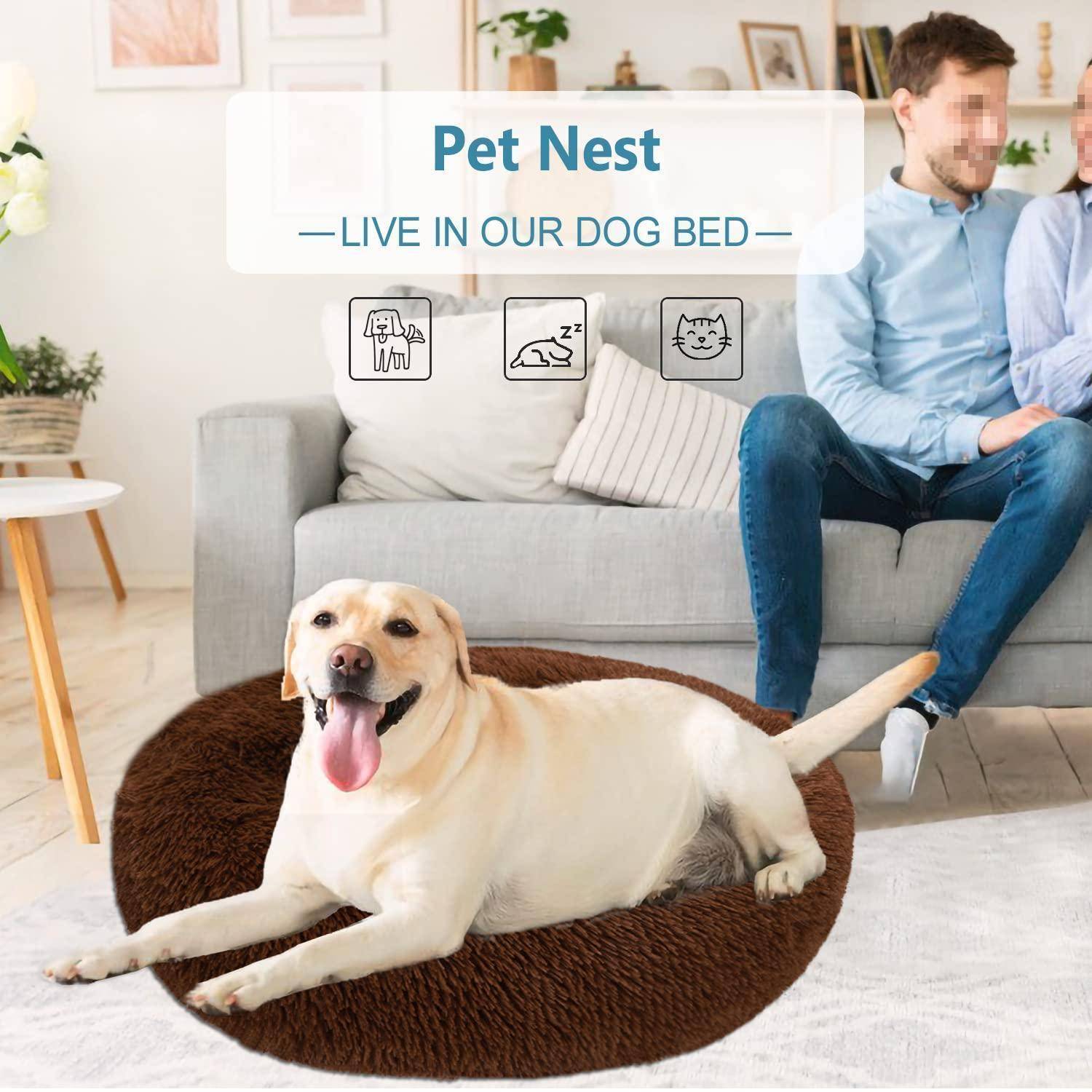 Anzeige für „Pet Nest" Hundebett zeigt einen gelben Labrador, der auf einem runden braunen Haustierbett in einem Wohnzimmer faulenzt, mit einem Mann auf einem Sofa im Hintergrund.