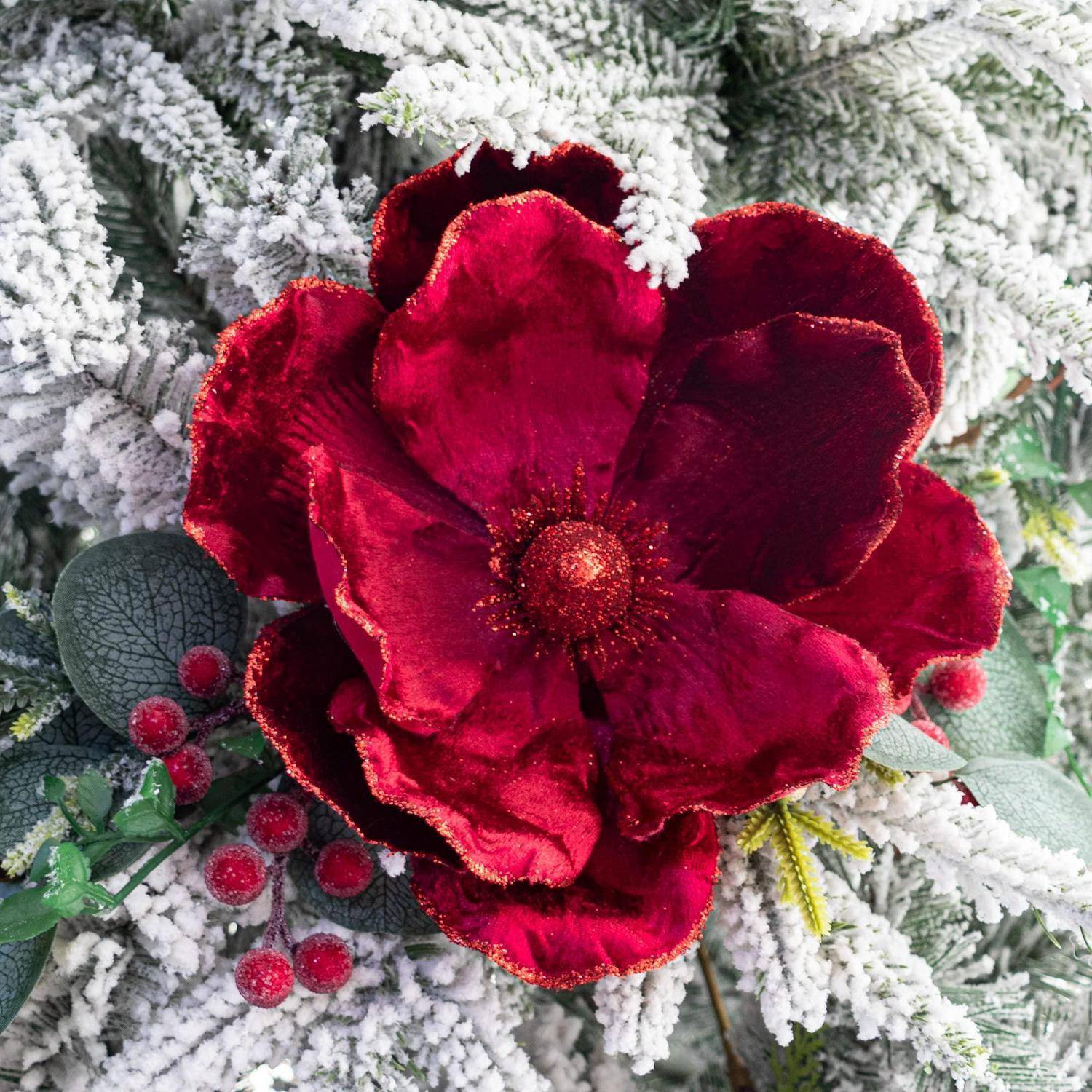 Nahaufnahme eines tiefrot samtigen Blumen-Mittelstücks auf schneebestäubten Immergrünzweigen mit gefrorenen Beeren, das eine Winterfeiertagsdekoration andeutet.