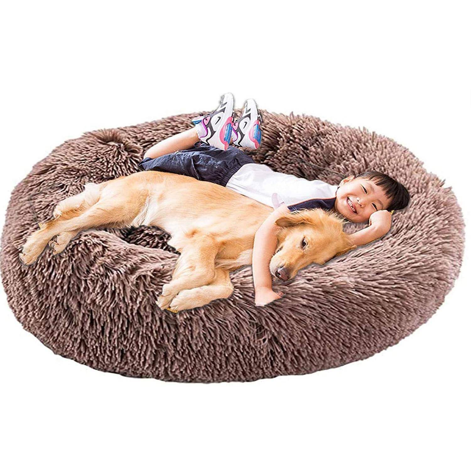 Kleines Kind, das auf einem großen zottigen hundförmigen Haustierbett liegt, während es ein goldfarbenes, retrieverförmiges Kissen oder Plüschtier umarmt.