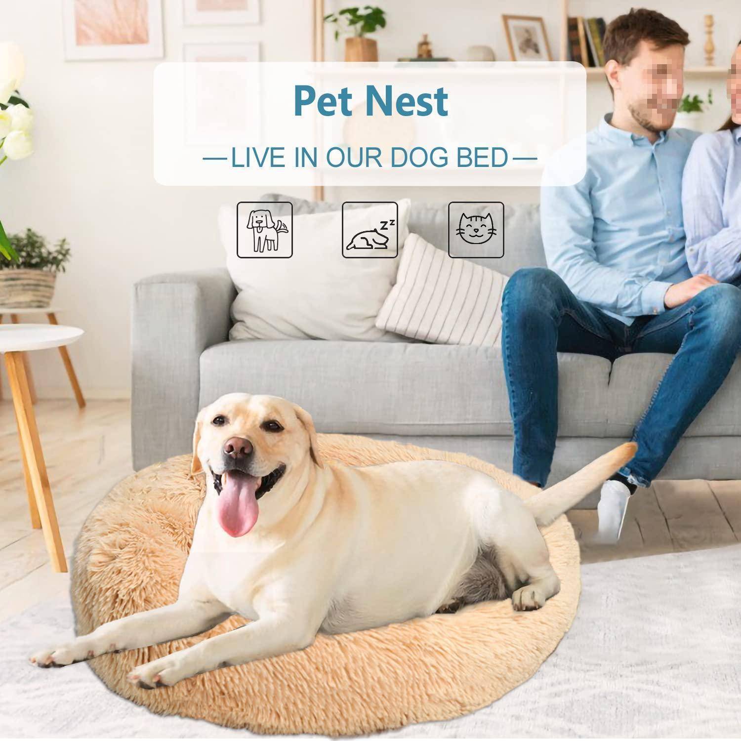 Anzeige für "Pet Nest"" Hundebett, zeigt einen Labrador, der auf einem runden, plüschigen Bett im Wohnzimmer neben einem sitzenden Mann liegt.