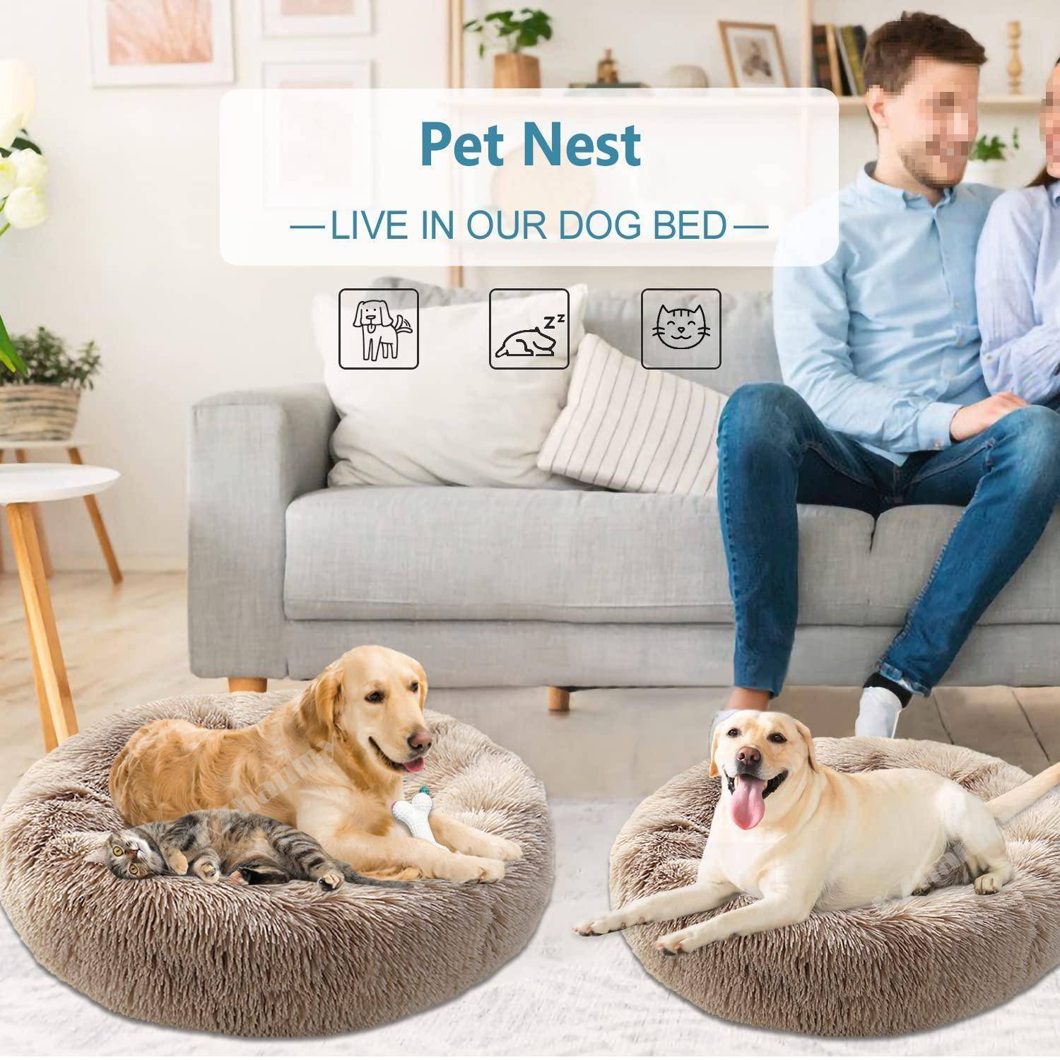 Anzeige für "Pet Nest"" Hundebetten mit zwei Hunden, die auf luxuriösen Betten in einem Wohnzimmer entspannen, während ein Mann auf einem Sofa im Hintergrund sitzt.