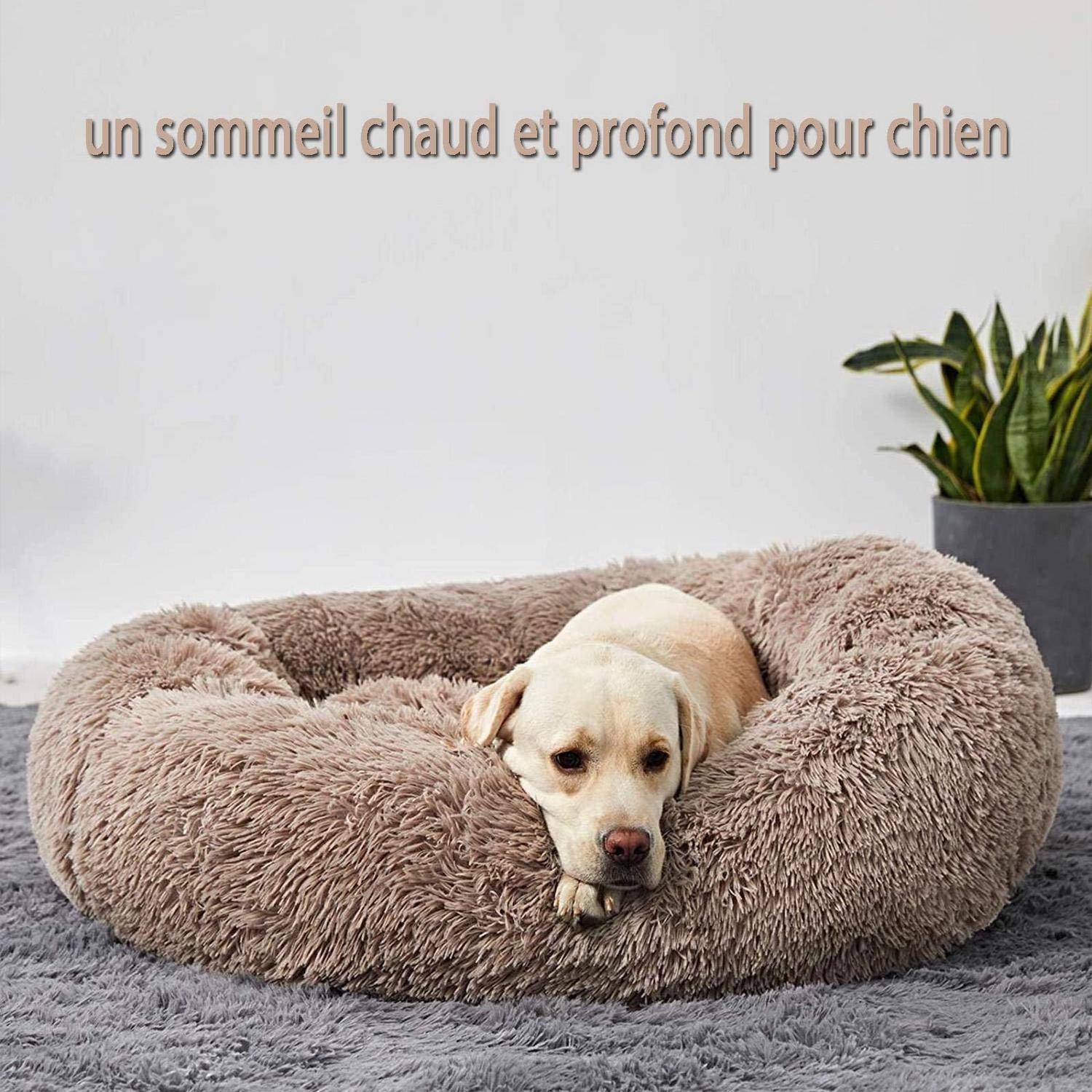 Ein Hund liegt in einem plüschigen, runden Hundebett, mit französischem Text darüber, der lautet „ein warmer und tiefer Schlaf für Hunde".