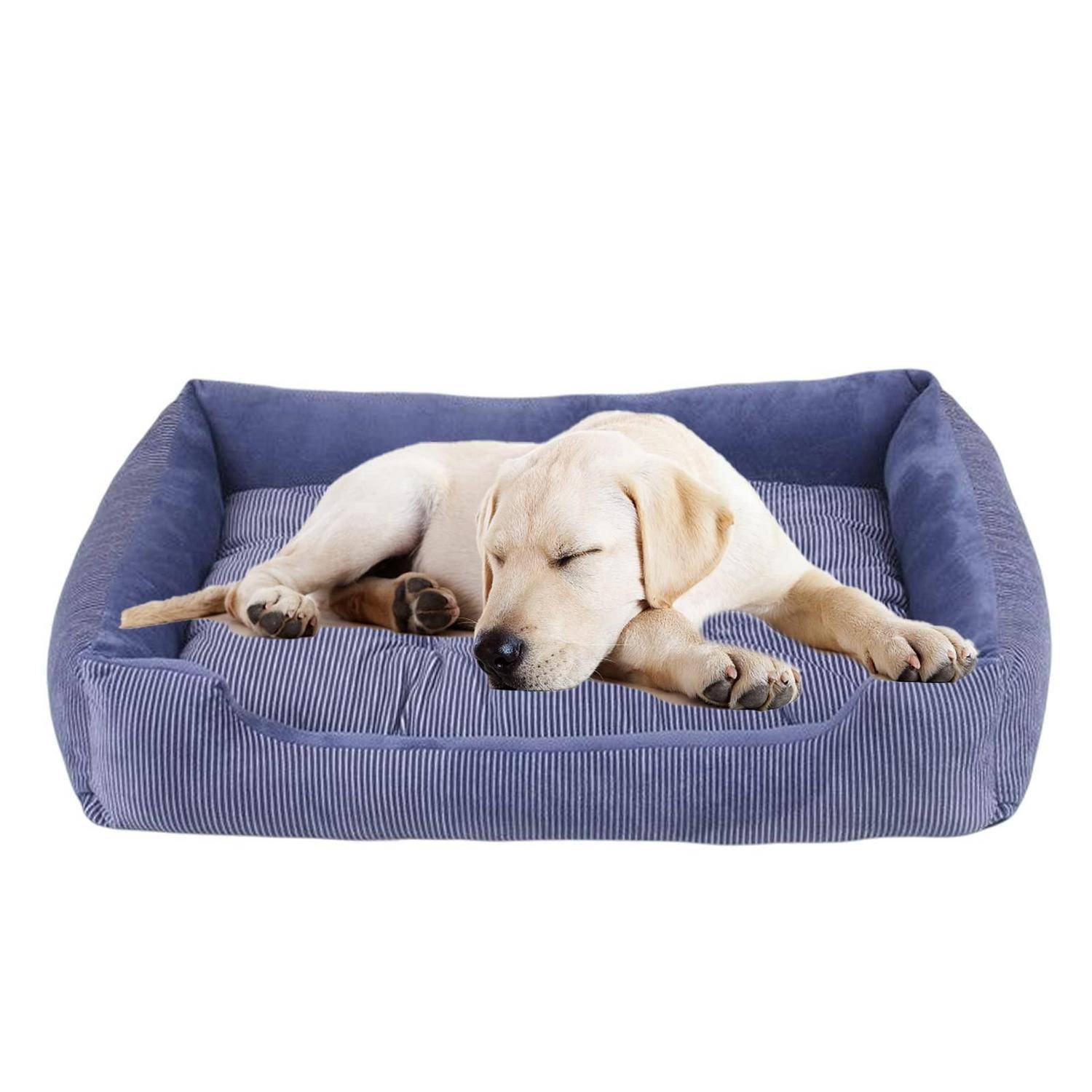 Schlafender gelber Labrador-Welpe, zusammengerollt in einem blau gestreiften Haustierbett auf weißem Hintergrund.