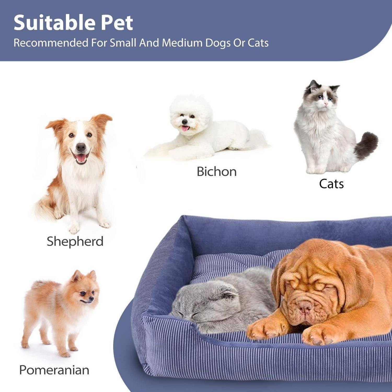 Infografik mit dem Titel "Geeignetes Haustier"" mit empfohlenen kleinen und mittleren Hunden oder Katzen: Schäferhund, Bichon, Katzen und Pomeranian, plus ein Hund, der in einem Haustierbett ruht.