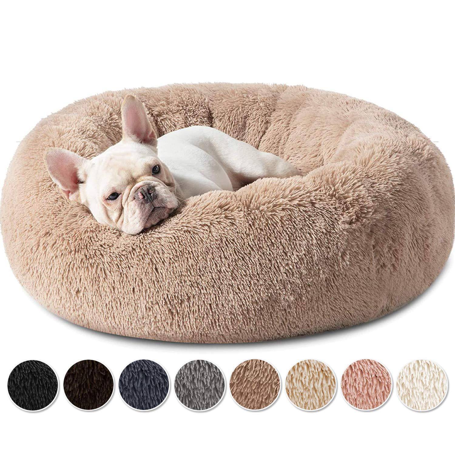 Weißer französischer Bulldogg, der in einem luxuriösen runden Haustierbett liegt, dargestellt als Produktbild mit mehreren unten angezeigten Farboptionen.