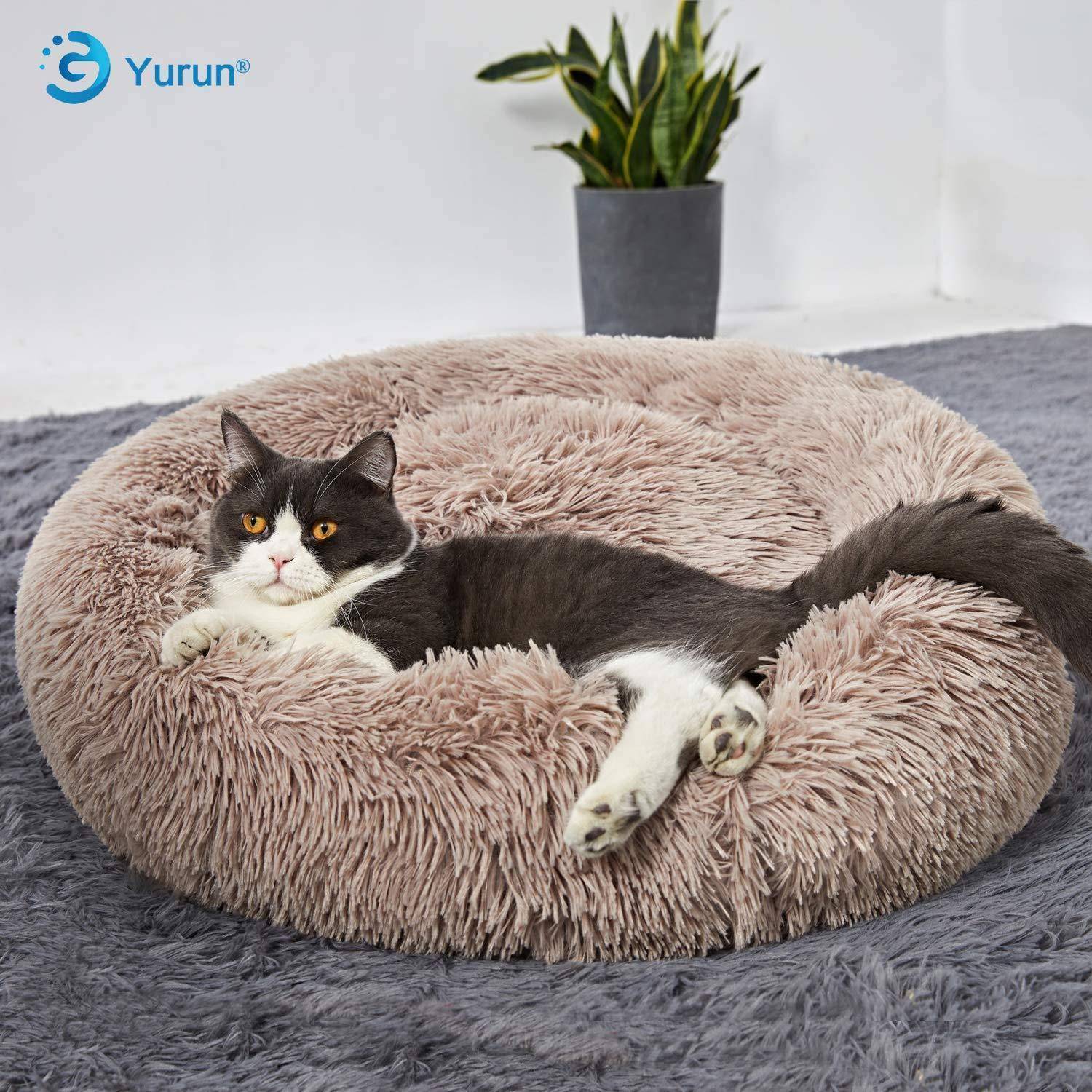 Eine schwarz-weiße Katze räkelt sich in einem flauschigen runden Katzenbett auf einem grauen Teppich, mit einer Topfpflanze im Hintergrund.