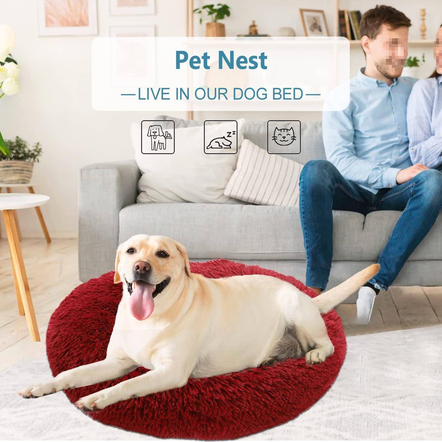 Werbebild für „Pet Nest", das einen Labrador zeigt, der auf einem roten Hundebett in einem Wohnzimmer fläzt, mit einem Mann, der auf einem Sofa dahinter sitzt.