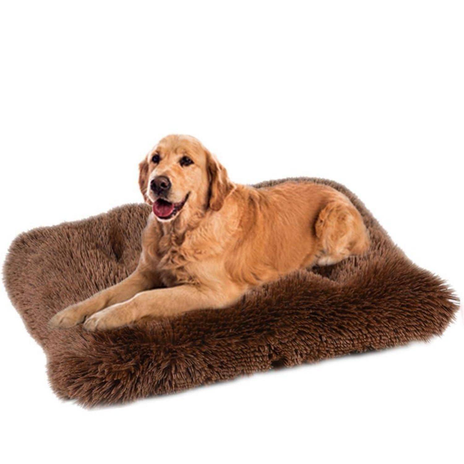 Ein Golden Retriever liegt auf einem braunen flauschigen Haustierbett vor weißem Hintergrund und schaut mit offener Schnauze in die Kamera.