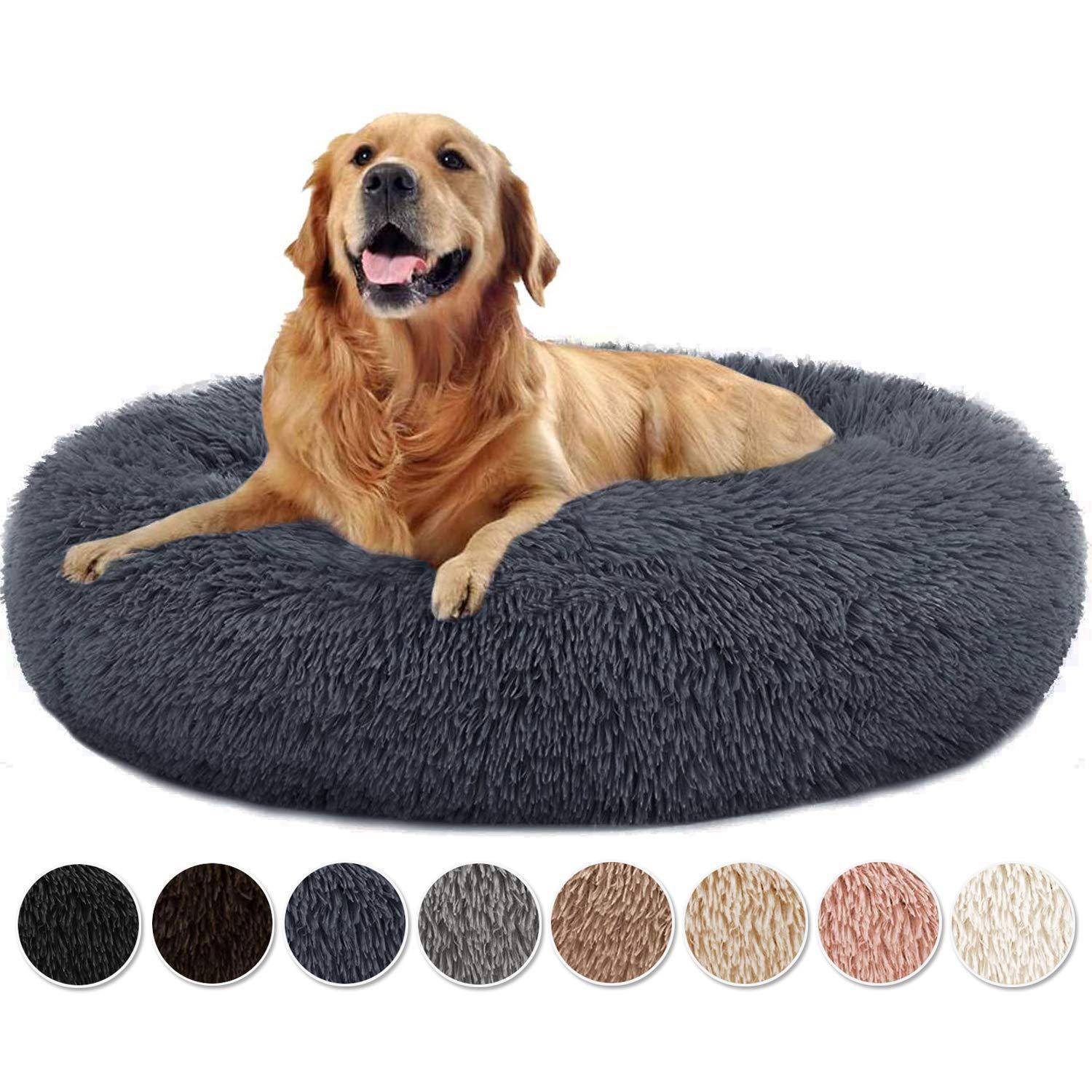 Goldenretriever liegt auf einem flauschigen runden grauon Hundebett, darunter sind kleine Farbmuster zu sehen, die die verfügbaren Bettfarben zeigen.