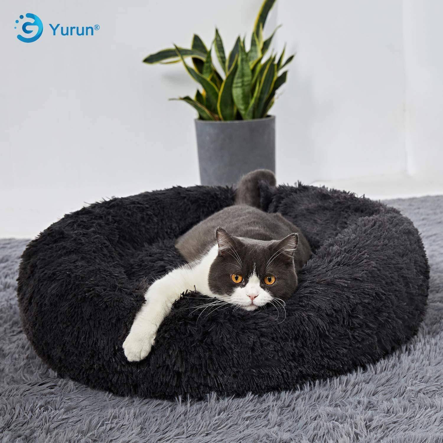 Grau-weiße Katze, die in einem schwarzen flauschigen Katzenbett faulenzt, mit einer Topfpflanze im Hintergrund.