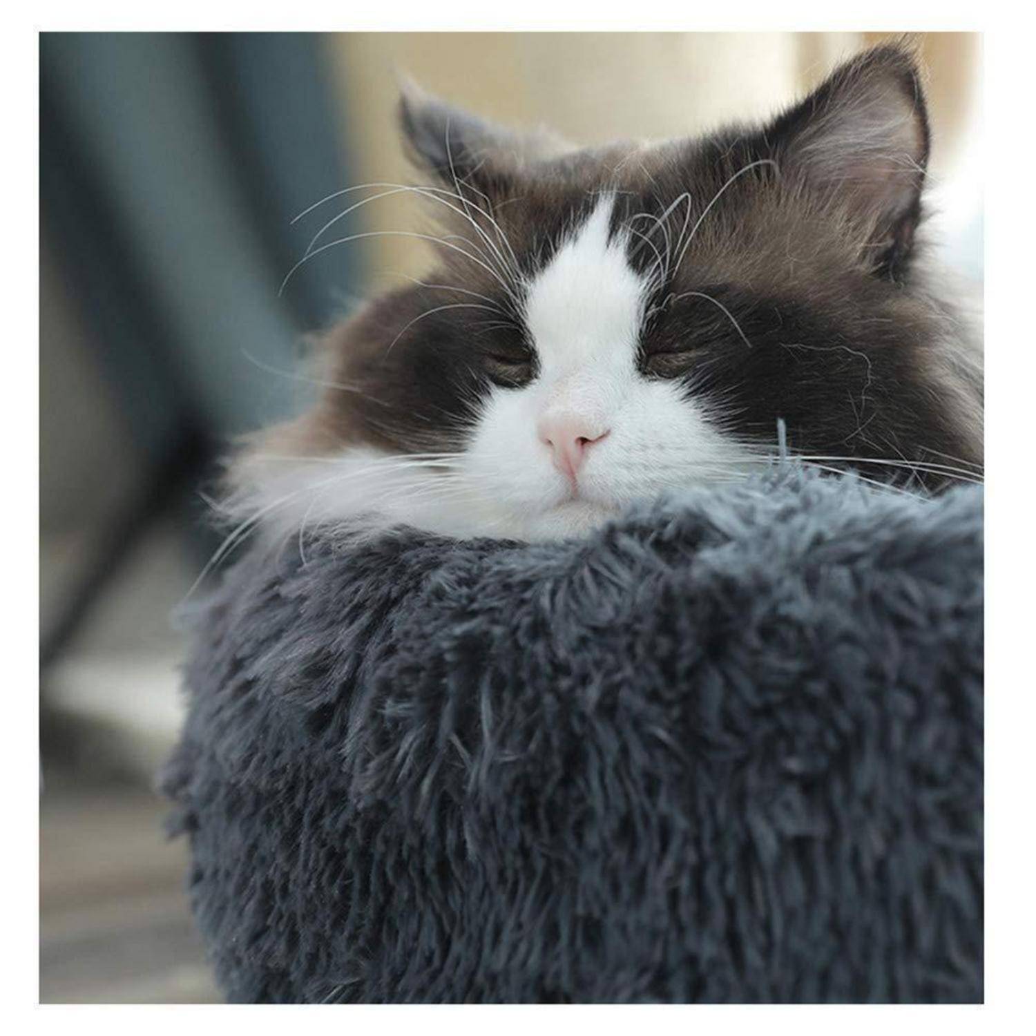 Hundebett Donut-Form abziehbar waschbar 100cm XL dunkelgrau