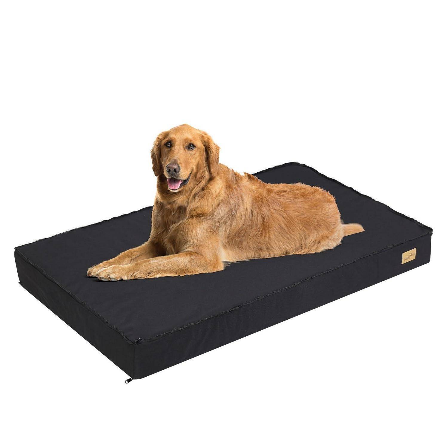 BingoPaw Orthopädisches Hundebett XL 105x70x10cm Grau abnehmbarer Bezug