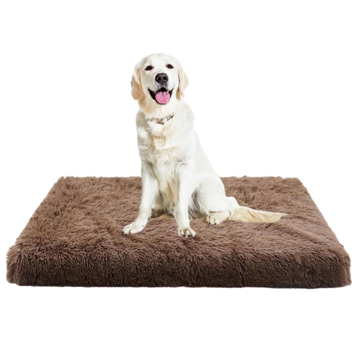 Golden Retriever, der auf einem braunen rechteckigen Haustierbett vor einem schlichten weißen Hintergrund sitzt.