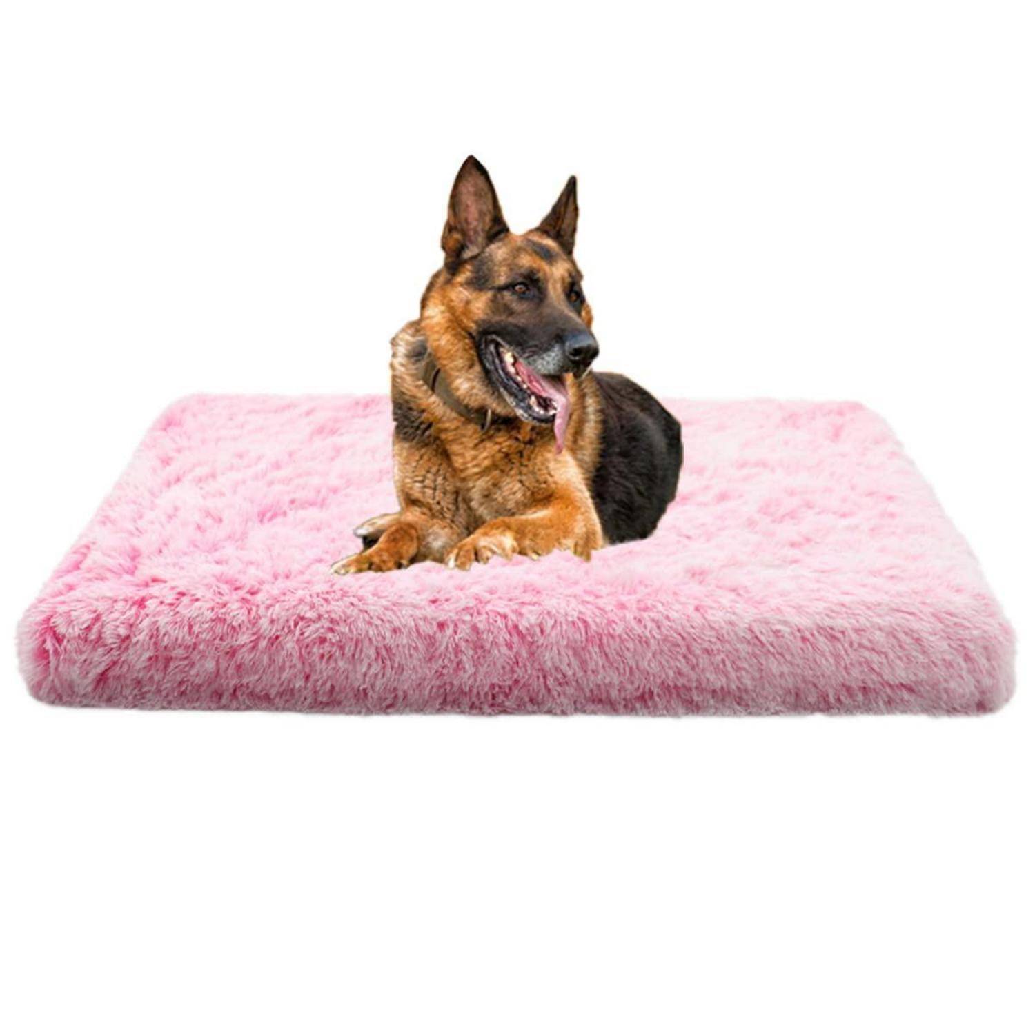 Deutscher Schäferhund, der auf einem rosa flauschigen Haustierbett vor weißem Hintergrund liegt.