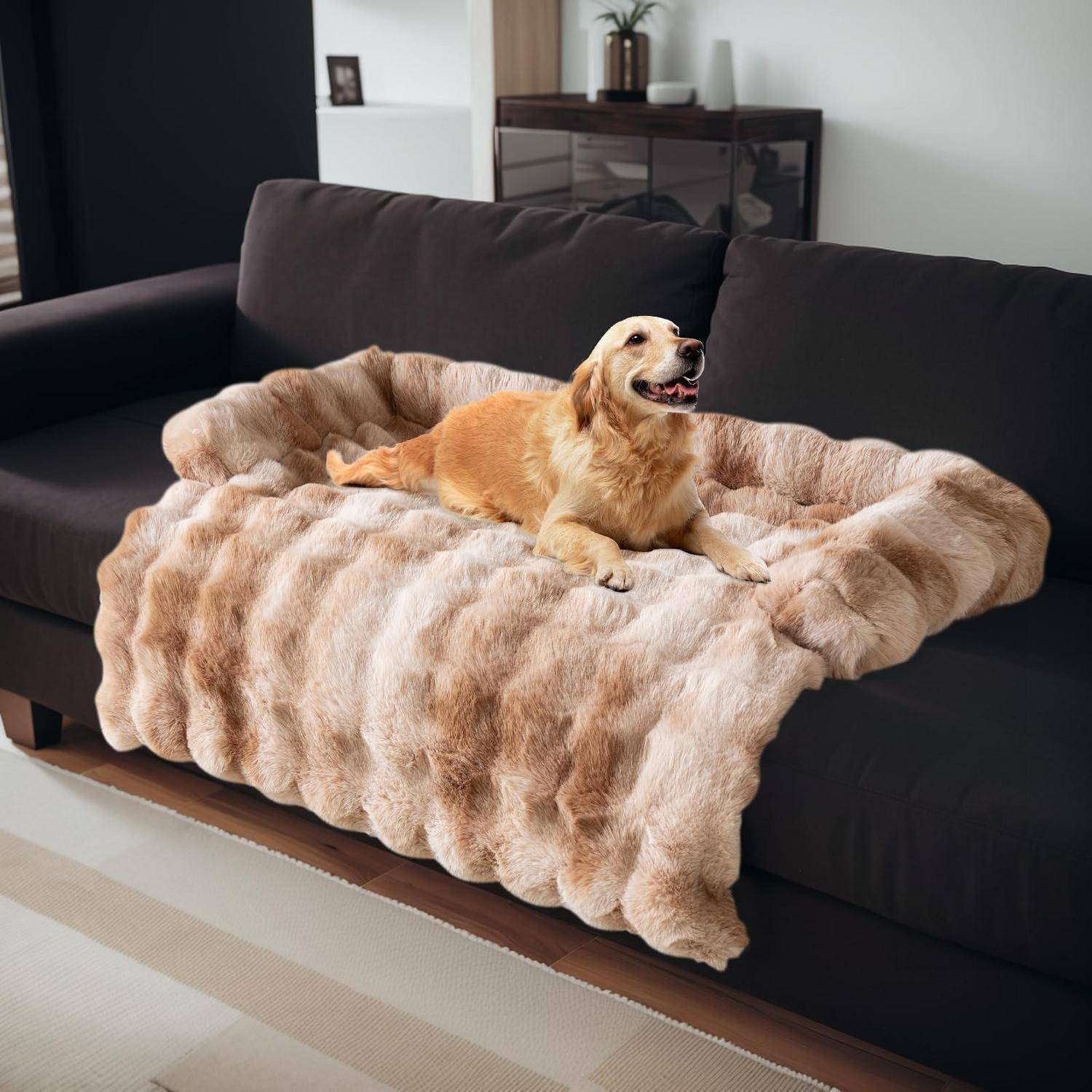 Golden Retriever, der auf einer plüschigen beigen Decke auf einem dunklen Sofa in einem modernen Wohnzimmer faulenzt.