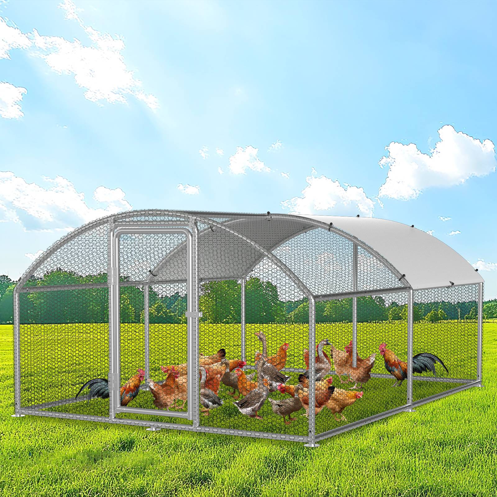 Tragbarer Hühnerstall aus Maschengewebe mit weißem gewölbtem Dach, enthält mehrere Hühner auf Gras in einem sonnigen Feld.