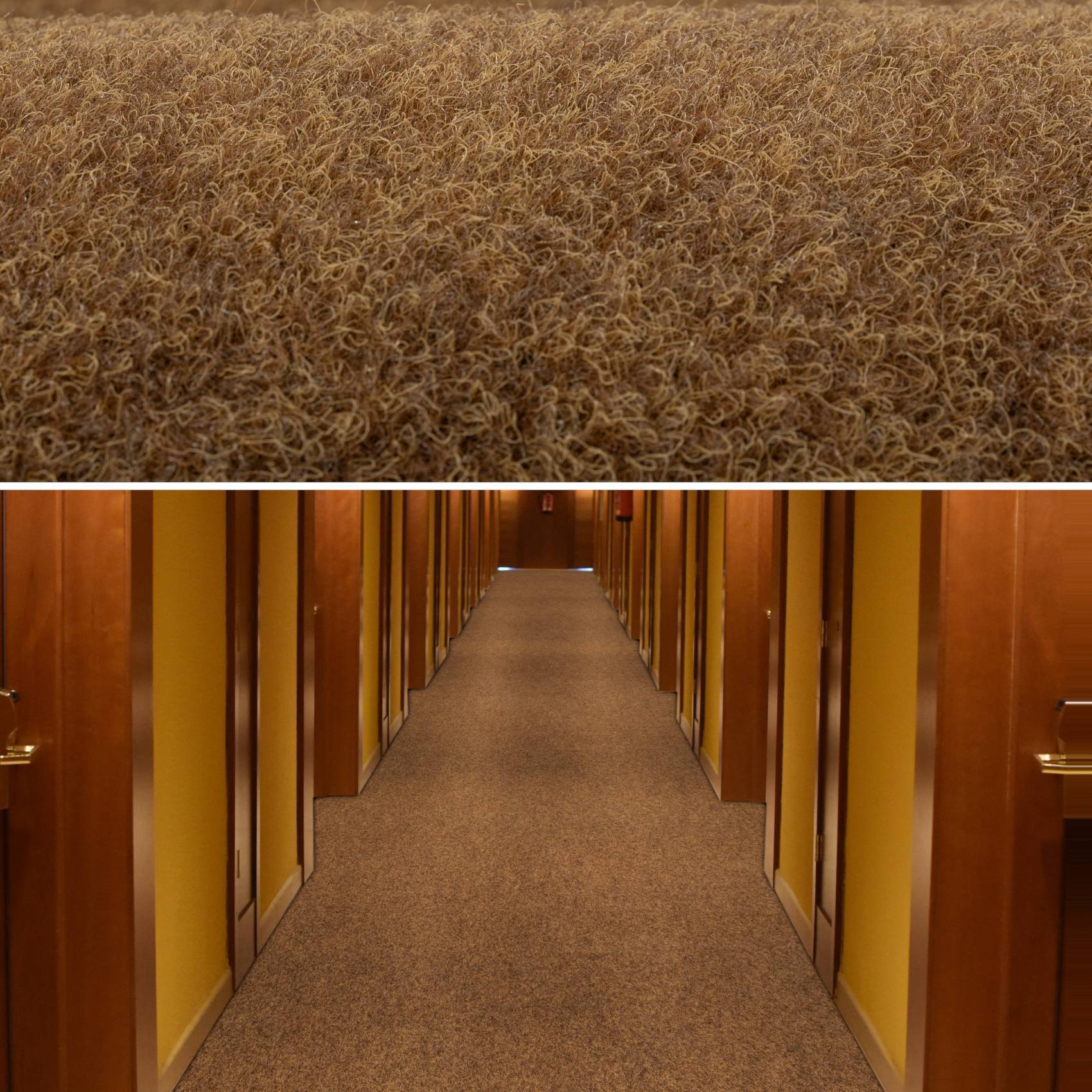 Geteiltes Bild: oben verworrene braune Fasern oder trockenes Gras, unten ein langer Hotelflur mit nummerierten Holztüren und Teppich.