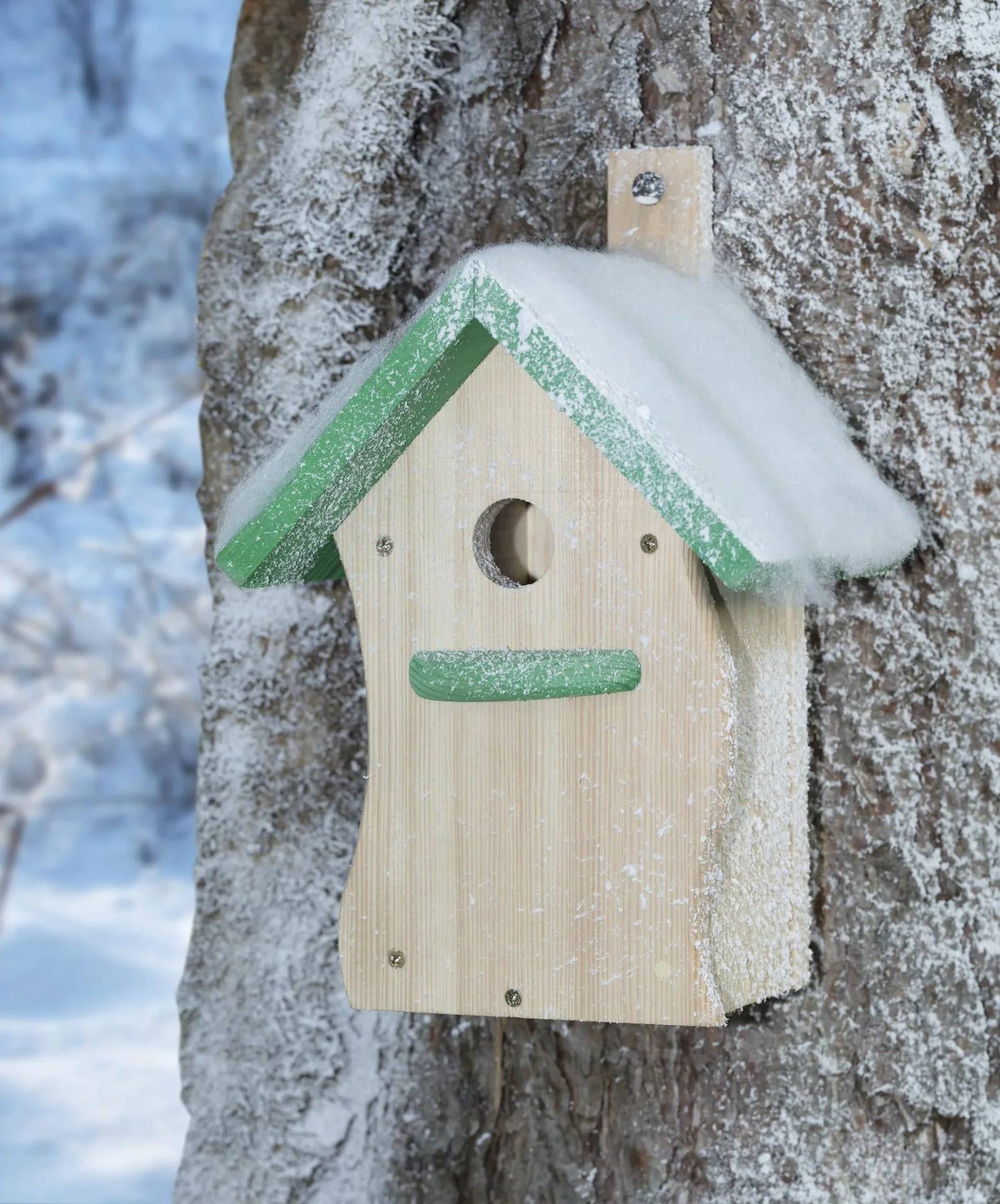 Schneebedecktes Vogelhaus an einem Baumstamm im Winter montiert