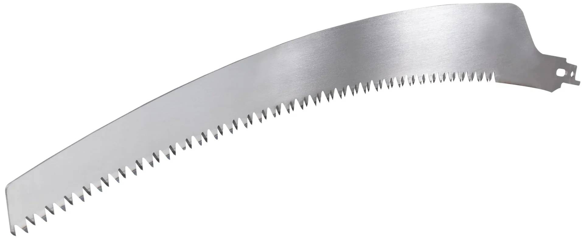 Gekrümmte Metallsägeblatt mit gezahntem Rand und Befestigungsschlitz an einem Ende, isoliert auf weißem Hintergrund dargestellt.