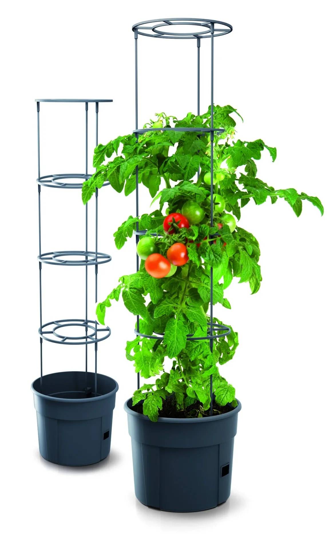 Anzuchttopf für Tomaten Grow 1 Ø 295 mm anthrazit