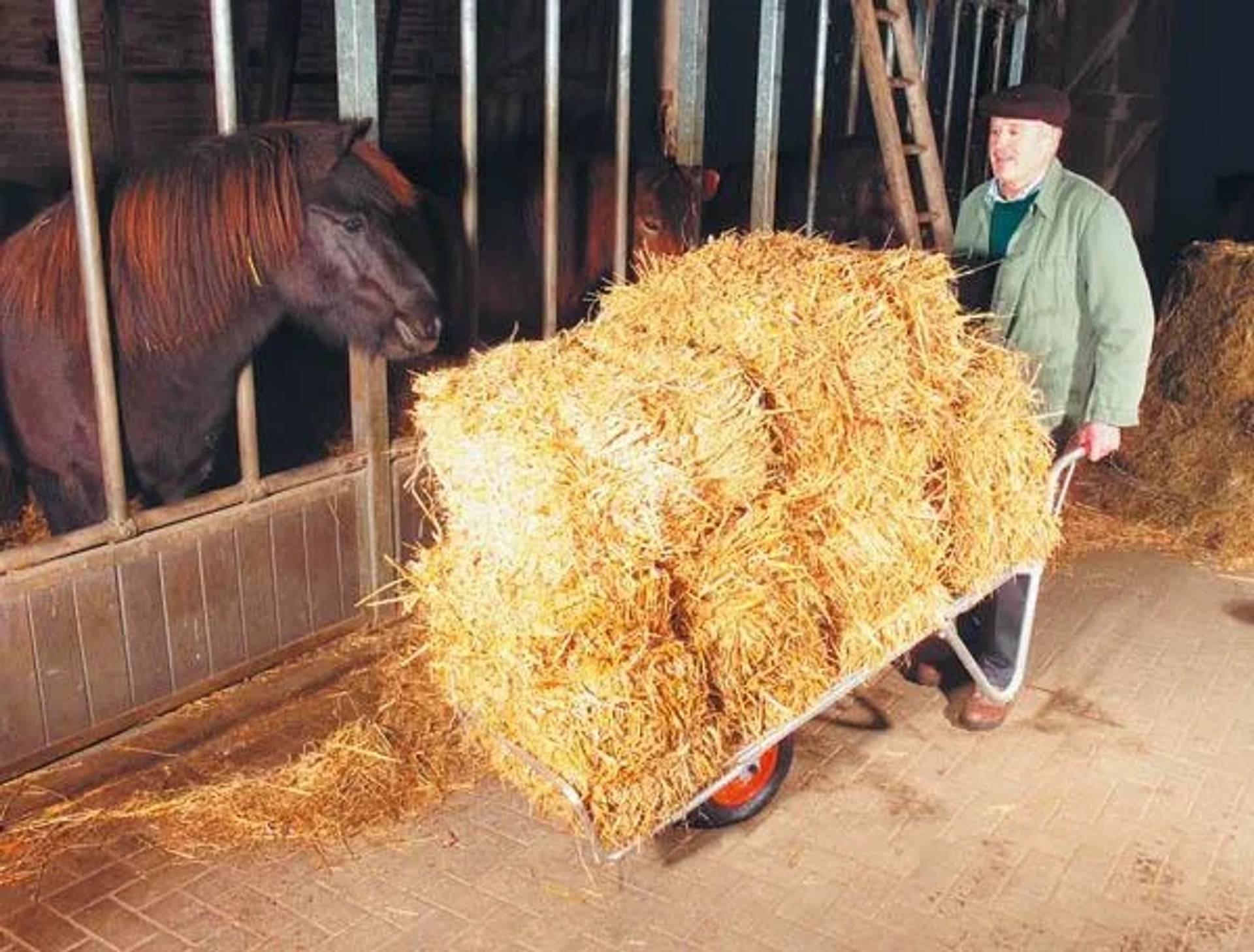 Alu Schweizer Karre 100 kg Tragkraft
