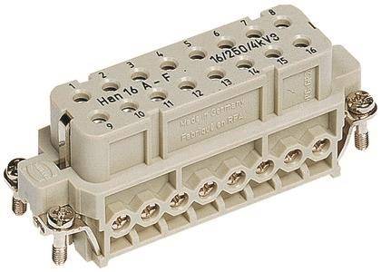 Großaufnahme eines rechteckigen industriellen Elektrosteckverbinders mit nummerierten Buchsenstiften, Schraubklemmen und Metall-Befestigungsschrauben.