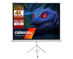 Tragbarer Projektorbildschirm auf Stativ zeigt ein 4K Ultra HD, Full HD 1080 Celexon-Werbebild mit einer Nahaufnahme einer blauen Echse.