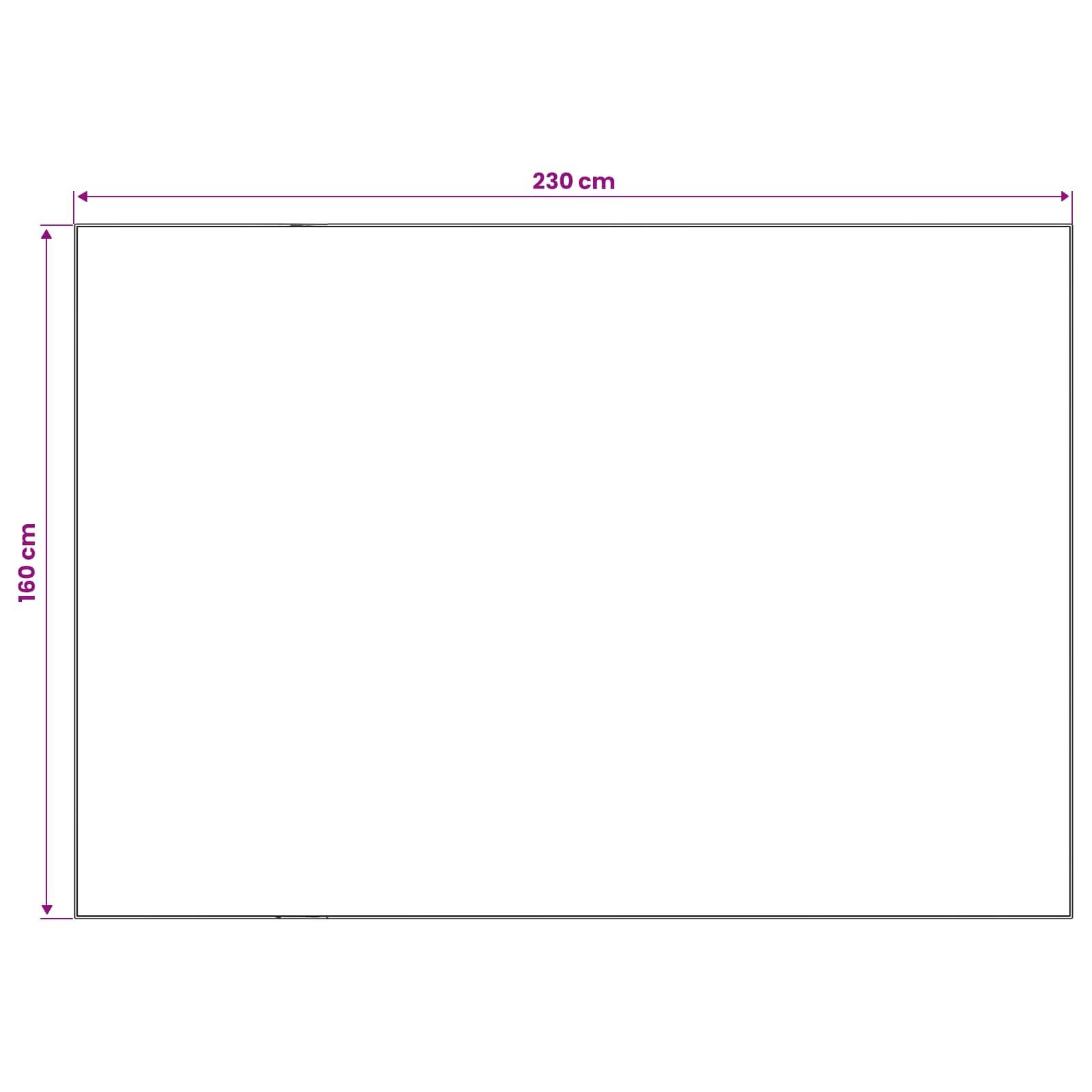 Leeres rechteckiges Layout mit einer Breite von 230 cm und einer Höhe von 160 cm, das die Gesamtabmessungen zeigt.