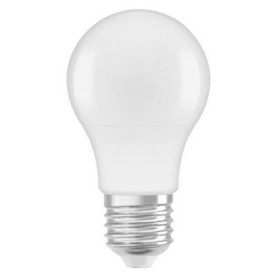 Eine weiße LED-Glühbirne mit mattiertem Globus und silberner Schraubfassung auf einfachem Hintergrund.