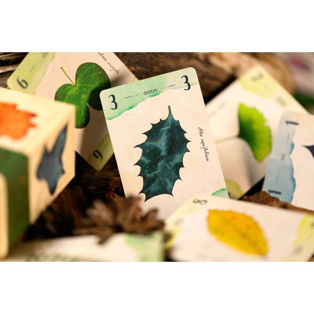 Joekas World 13 Leaves (DE)