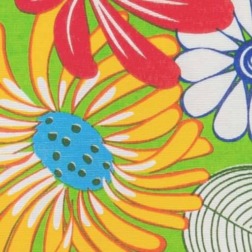 Nahaufnahme von farbenfrohen gänseblümchenähnlichen Blüten mit gelben, roten und weißen Blütenblättern vor hellem grünem Hintergrund.