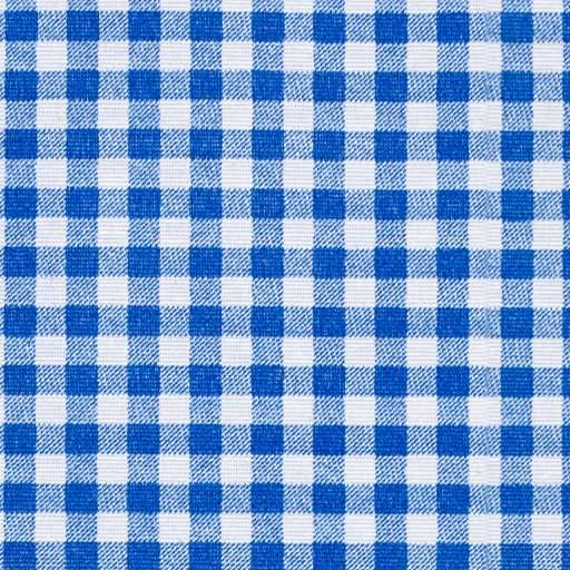 Blau-weiß kariertes Gingham-Muster, das das gesamte Bild ausfüllt.