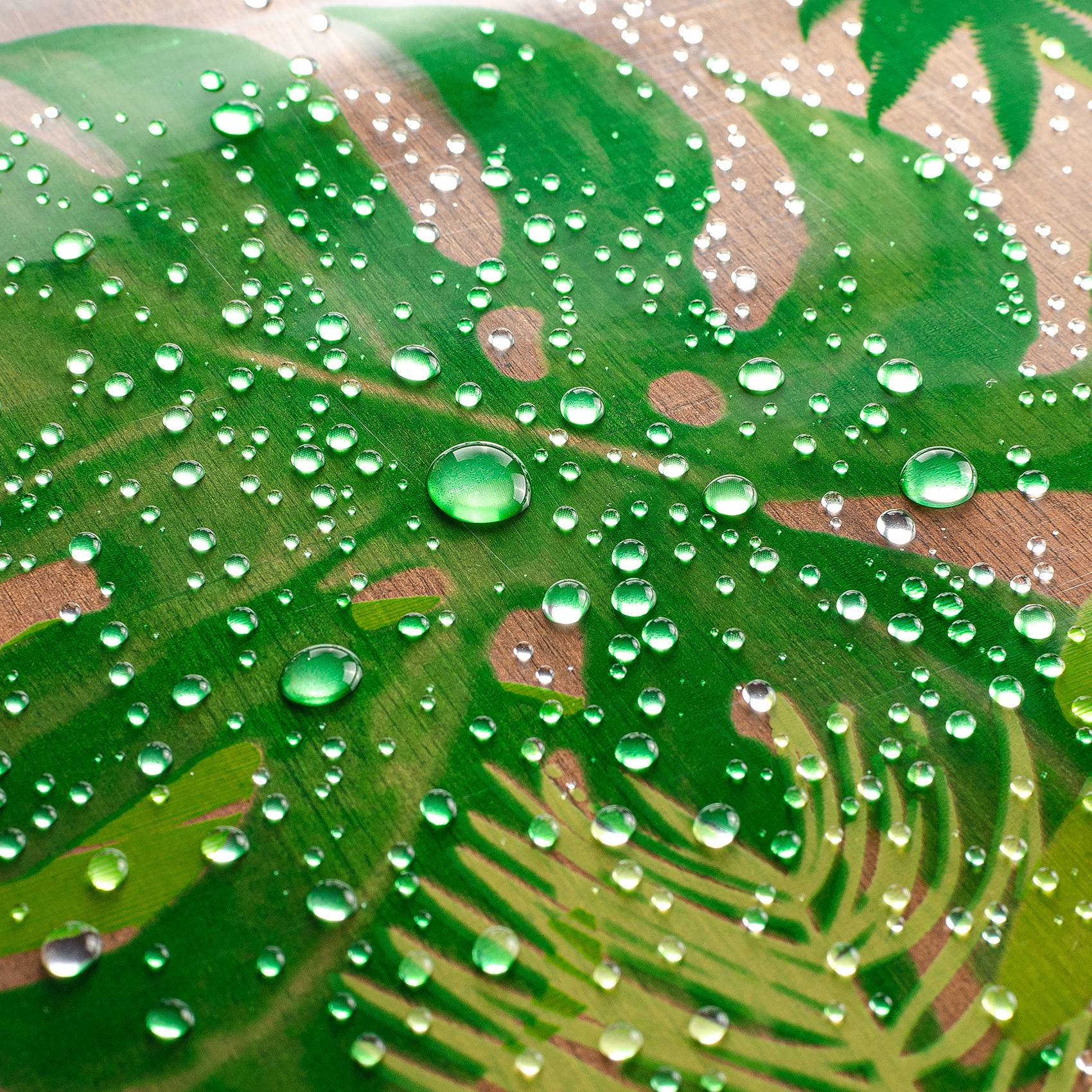 Nahaufnahme eines grünen Blattes, das mit Wassertropfen bedeckt ist und frischen Regen oder Kondensation zeigt.