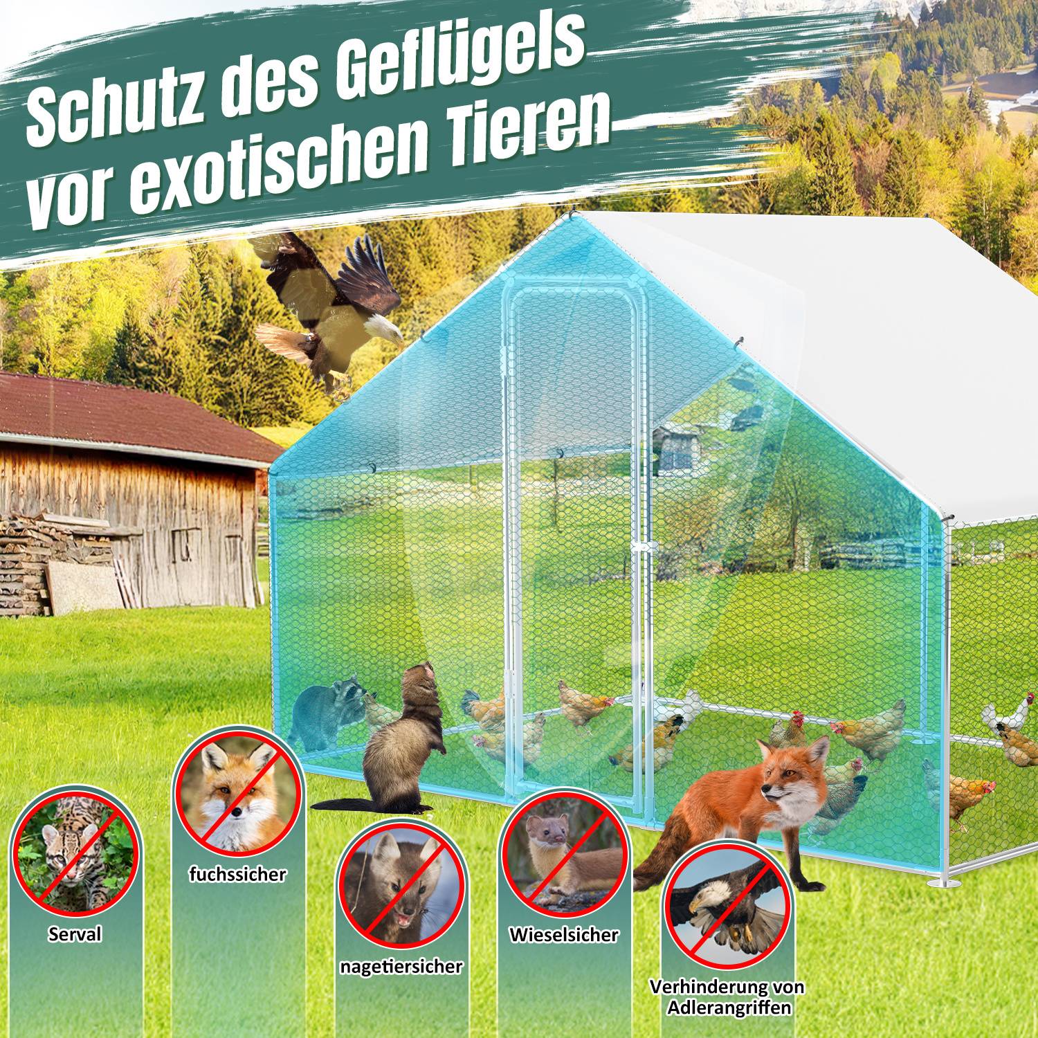 Grafik zum Schutz von Geflügel vor exotischen Tieren, die einen eingezäunten Stall mit Warnsymbolen für Serval, Fuchs, Waschbär, Marder und Wiesel zeigt, sowie den Text „Schutz des Geflügels vor exotischen Tieren" und „Verhinderung von Adlerangriffen"".