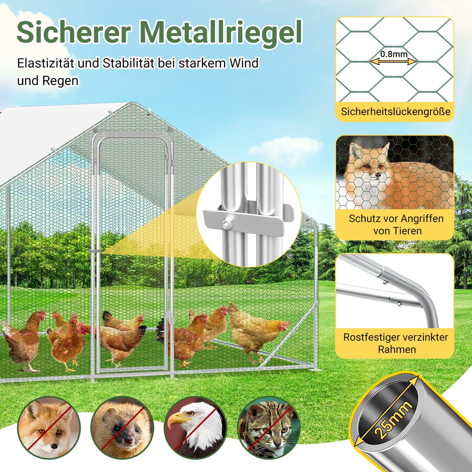 Werbeabbildung eines verzinkten Metallgitterkäfigs für Hühner, gekennzeichnet mit 0,8 mm Sicherheitsabstand und 25 mm rostsicherem Rahmen, wobei der Schutz vor Wind, Regen und Tieren hervorgehoben wird.