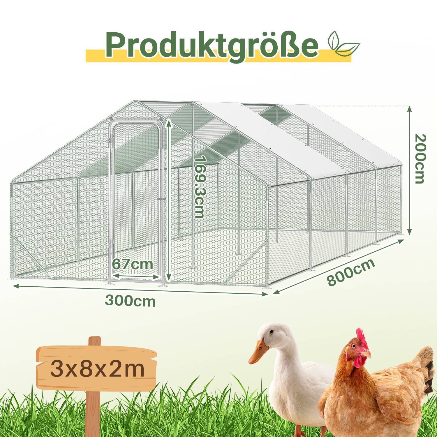 Produktgrößendiagramm eines Drahtgeflecht-Geflügelstalls/gewächshausähnliches Gehäuse mit der Bezeichnung 3x8x2 m, mit Abmessungen von 300 cm Breite, 800 cm Länge, 200 cm Höhe und Eingangsmessungen von 169,3 cm und 67 cm.